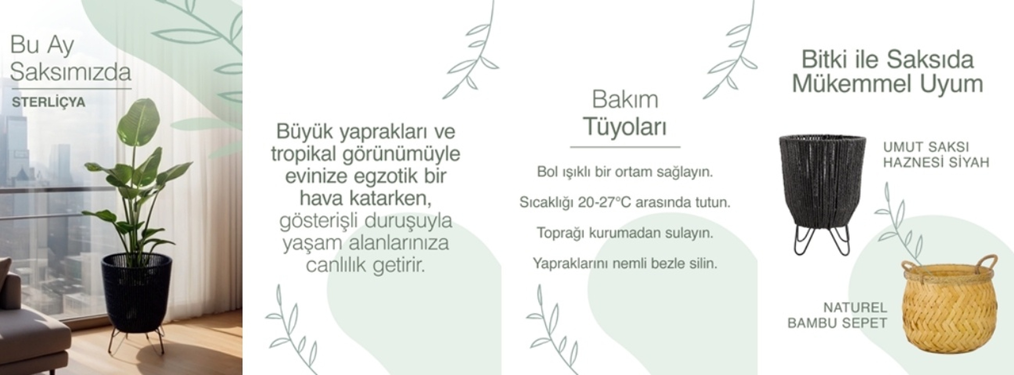 third_section_img