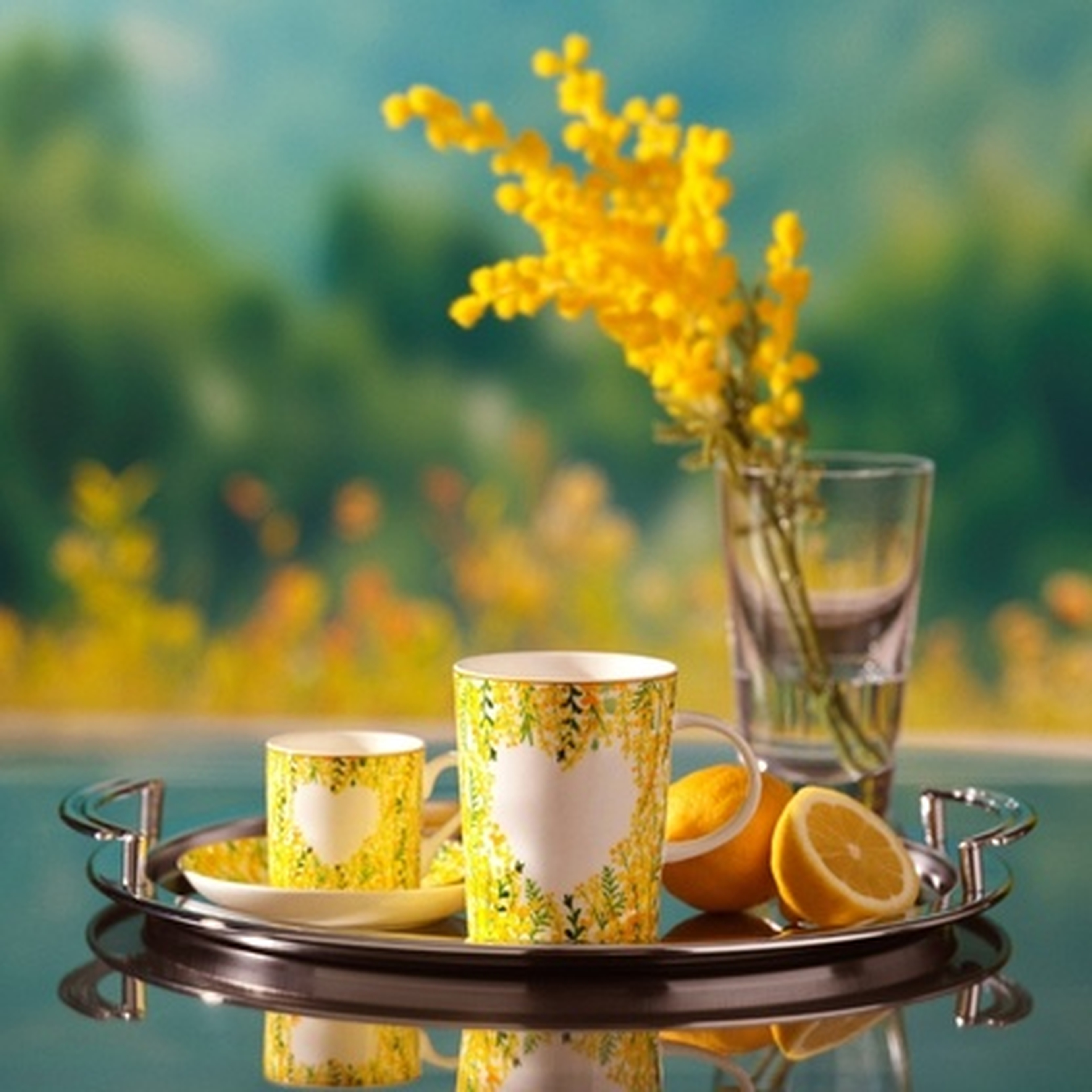 Mimoza