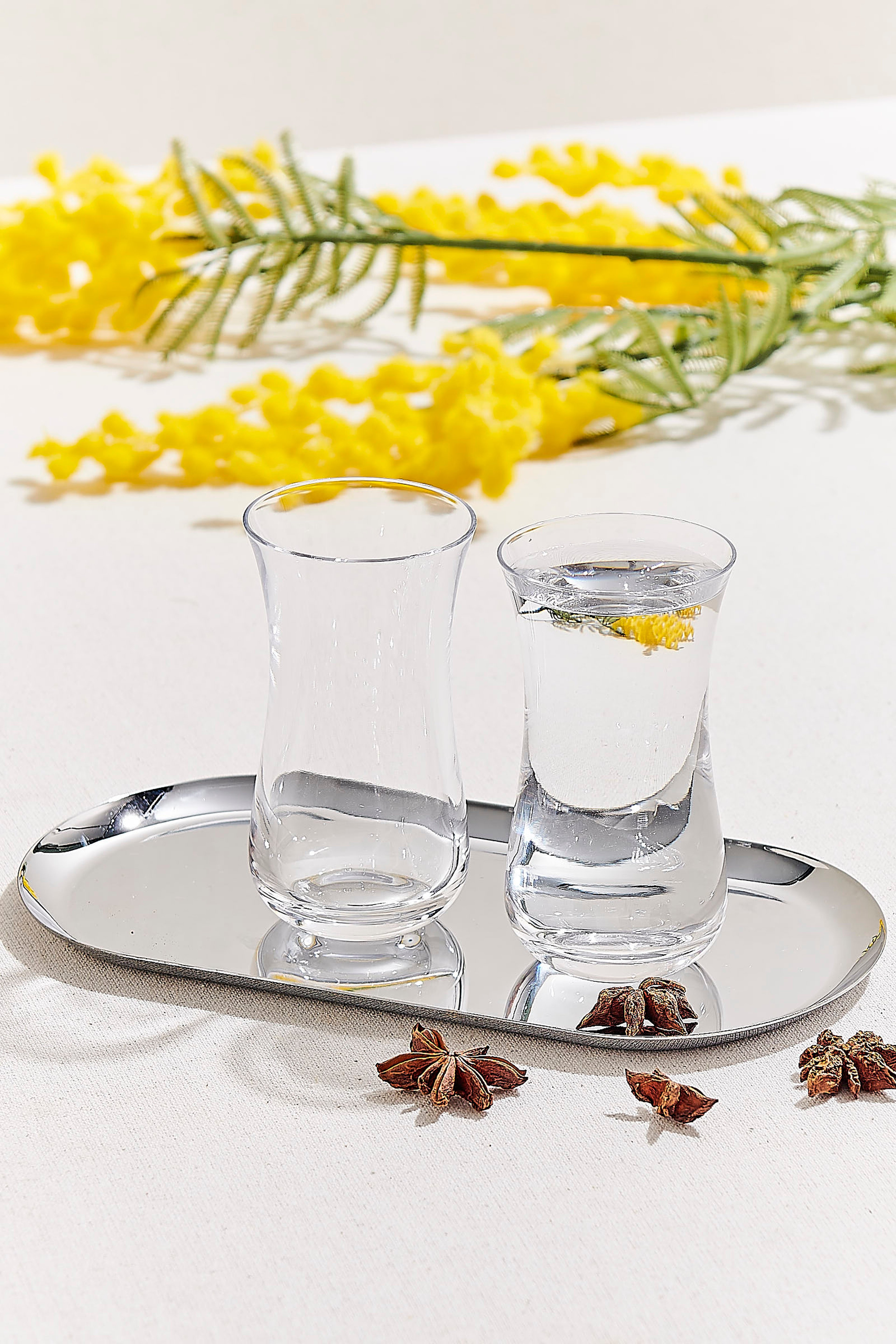 Nude Anason Rakı Bardağı 120 cc