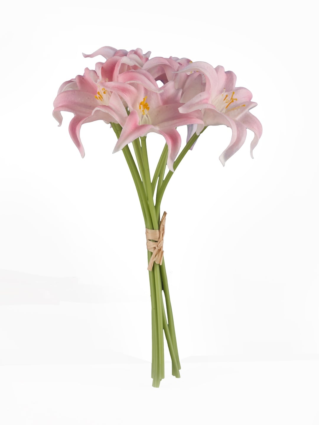 Pembe Zambak 24 cm