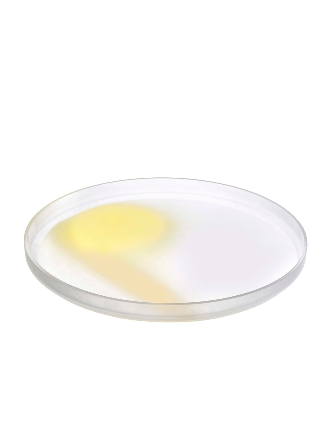 Nude Pigmento Sarı Tabak 28 cm