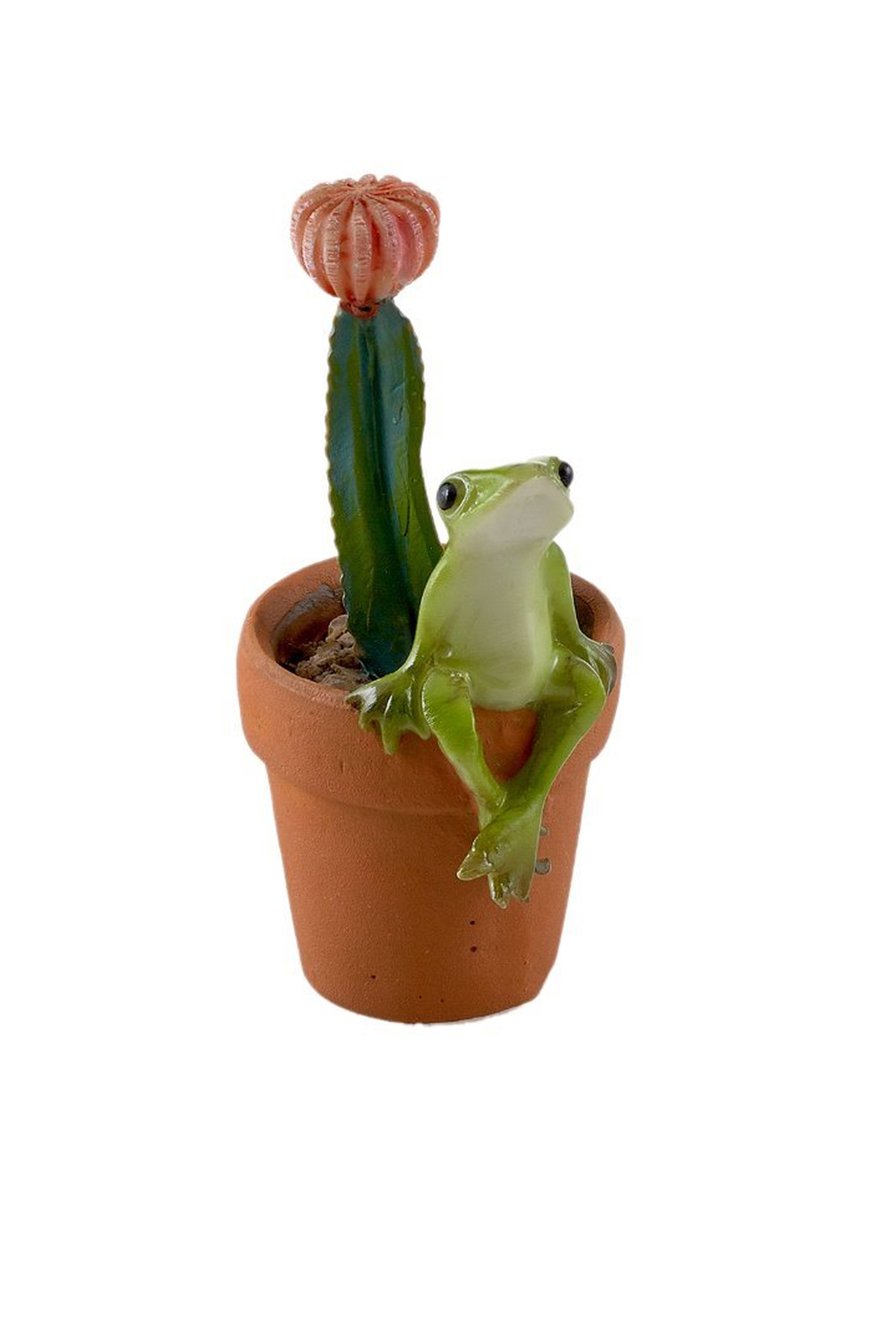 Cactus PolyResin Dekoratif Obje