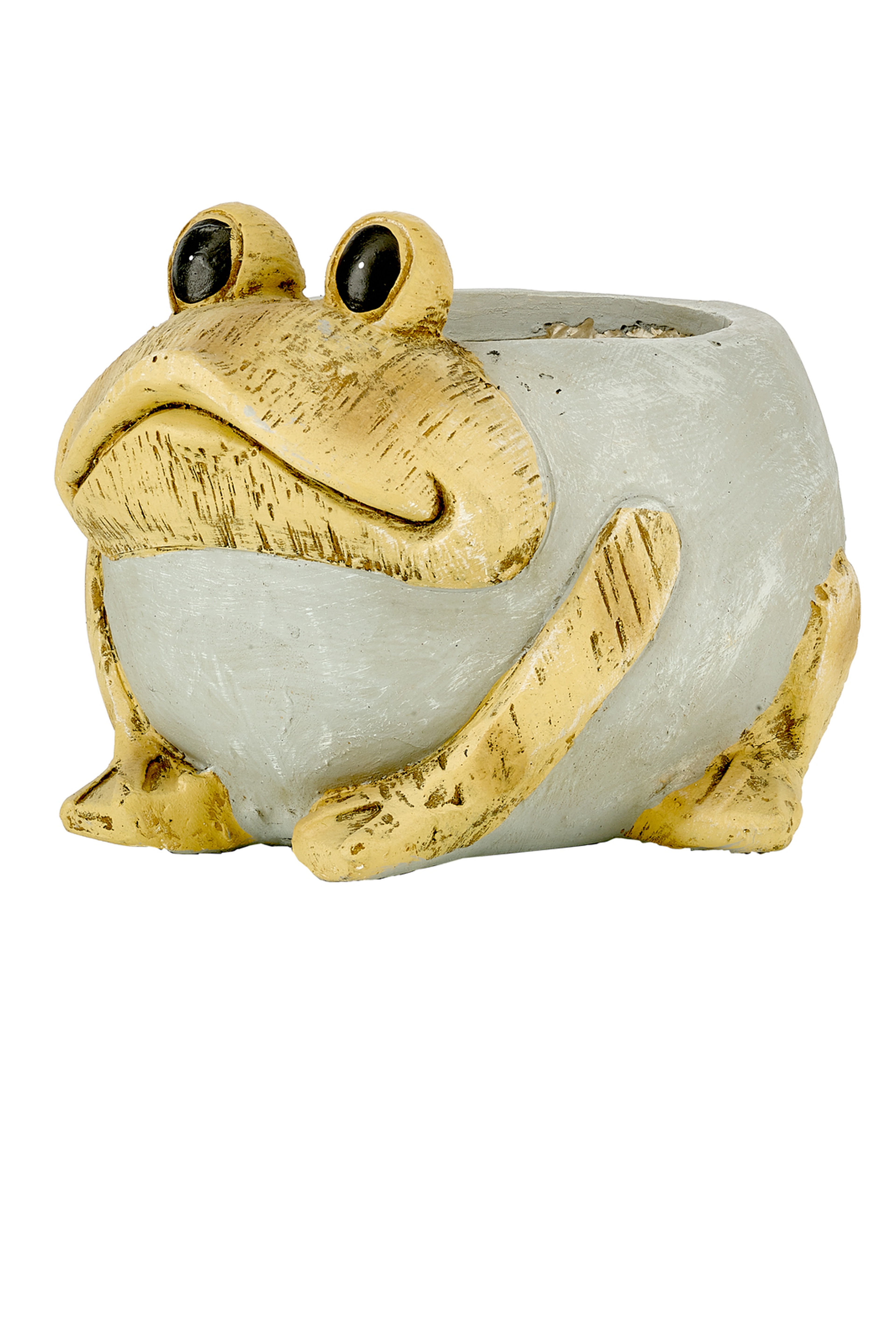 Frog Pot