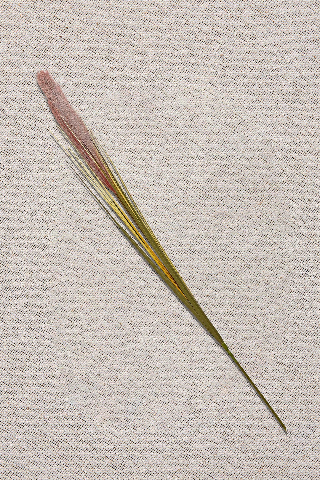 Grass Turuncu / Bej 92 cm