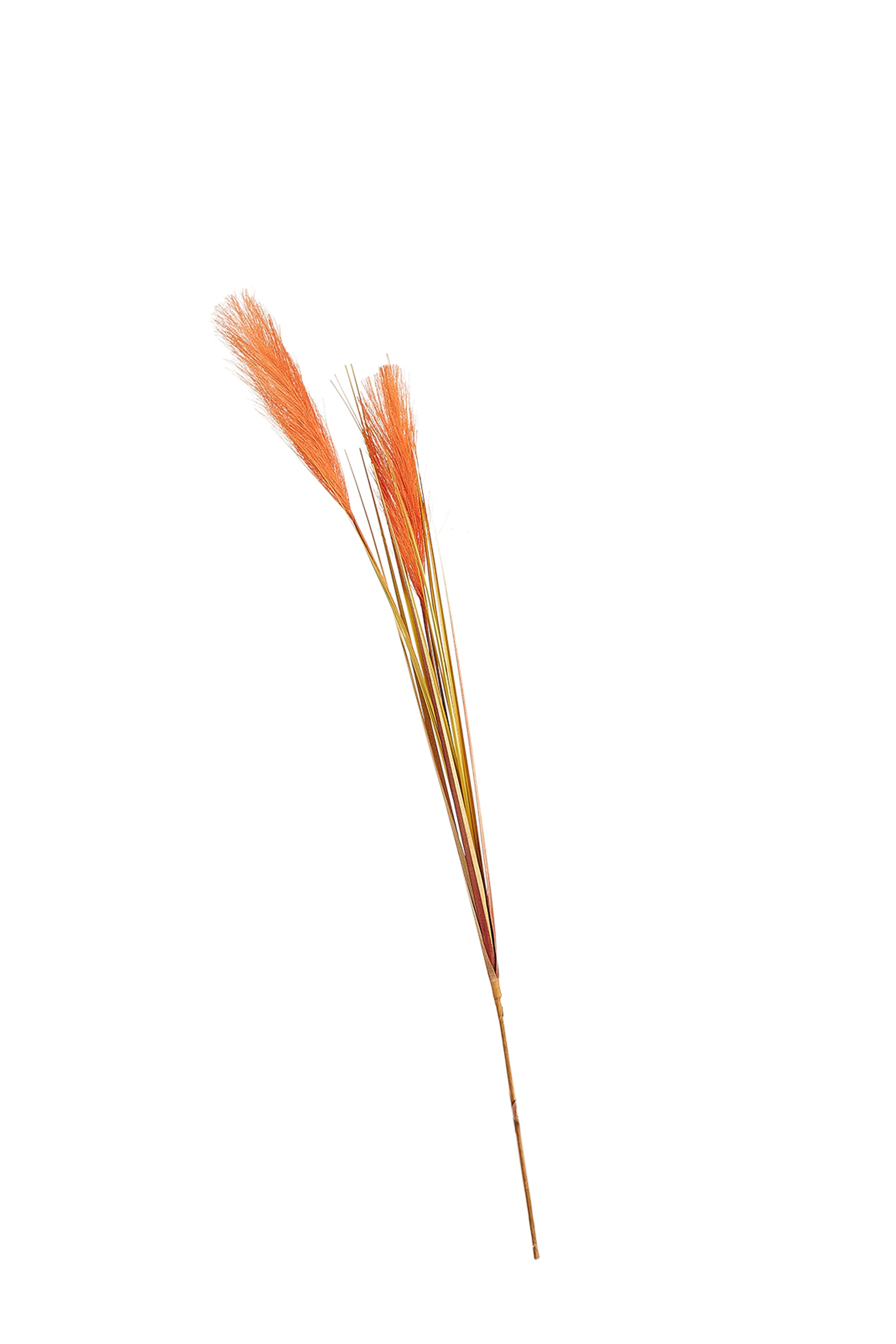 Grass Turuncu / Bej 92 cm