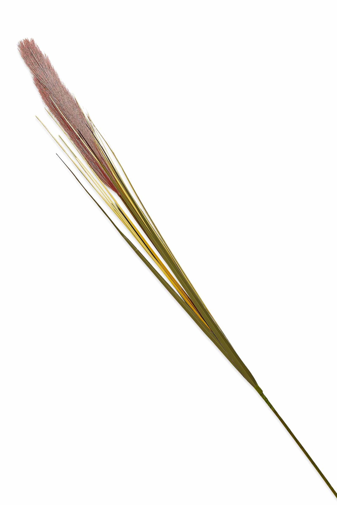 Grass Turuncu / Bej 92 cm