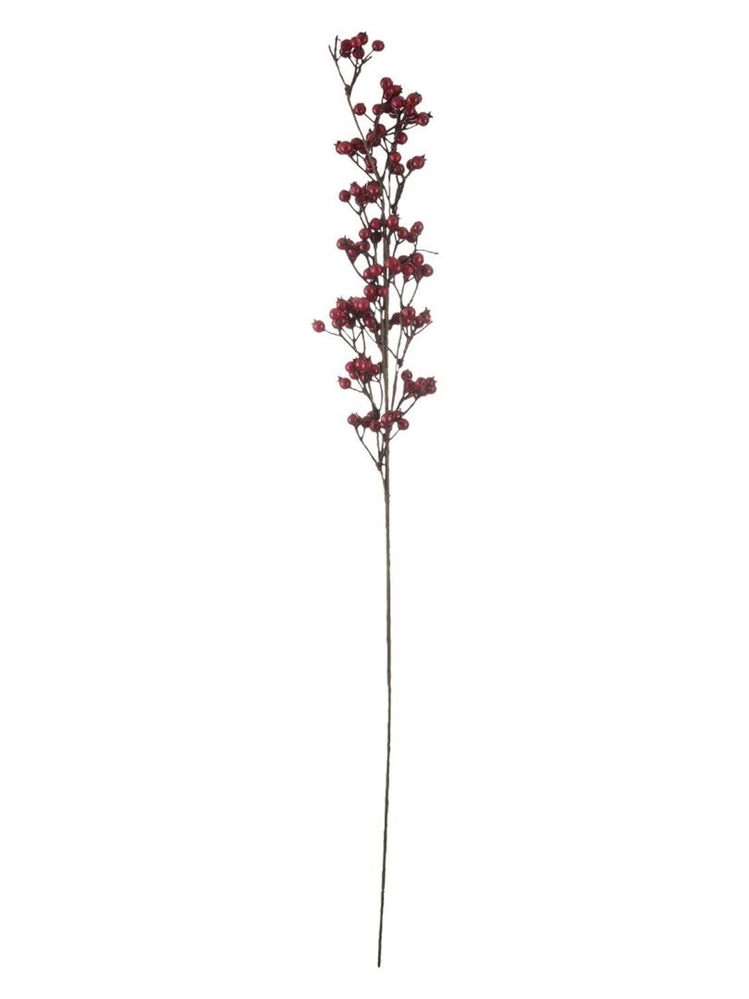 Nar Spray 78 cm