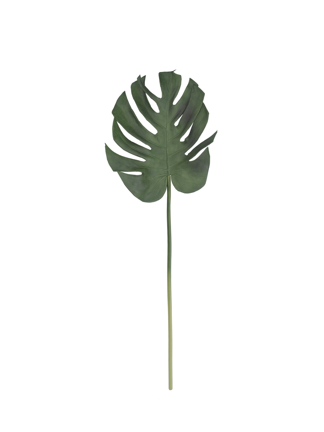 Monstera 82 cm Yeşil