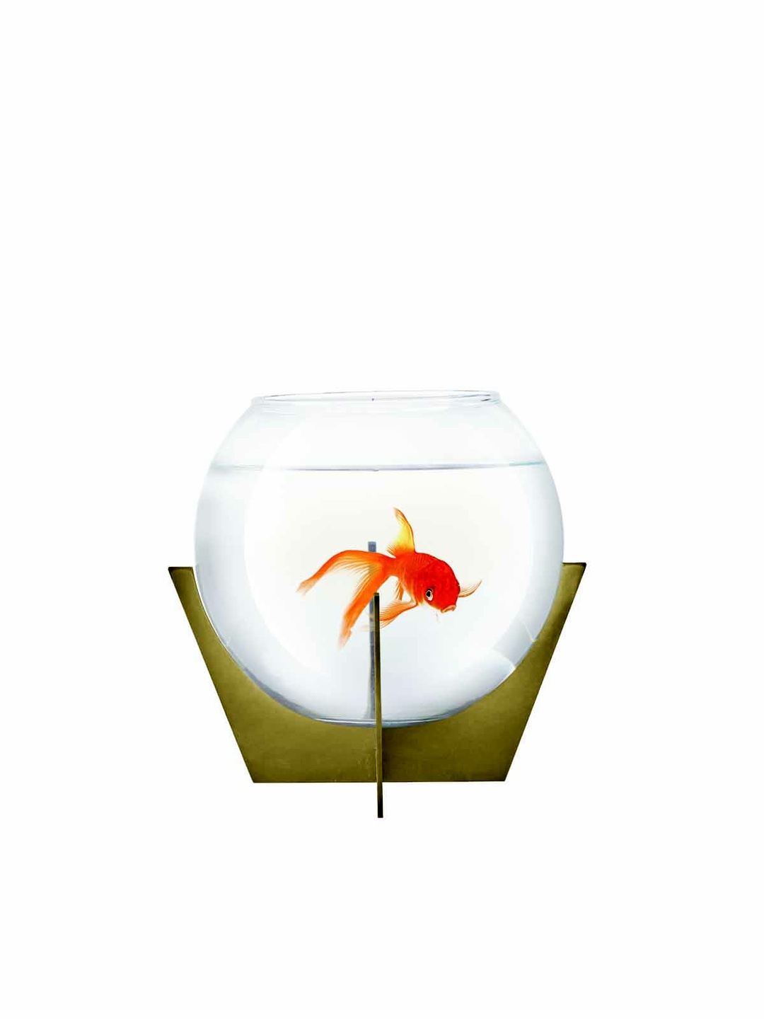 Habitat Fanus 18 Cm