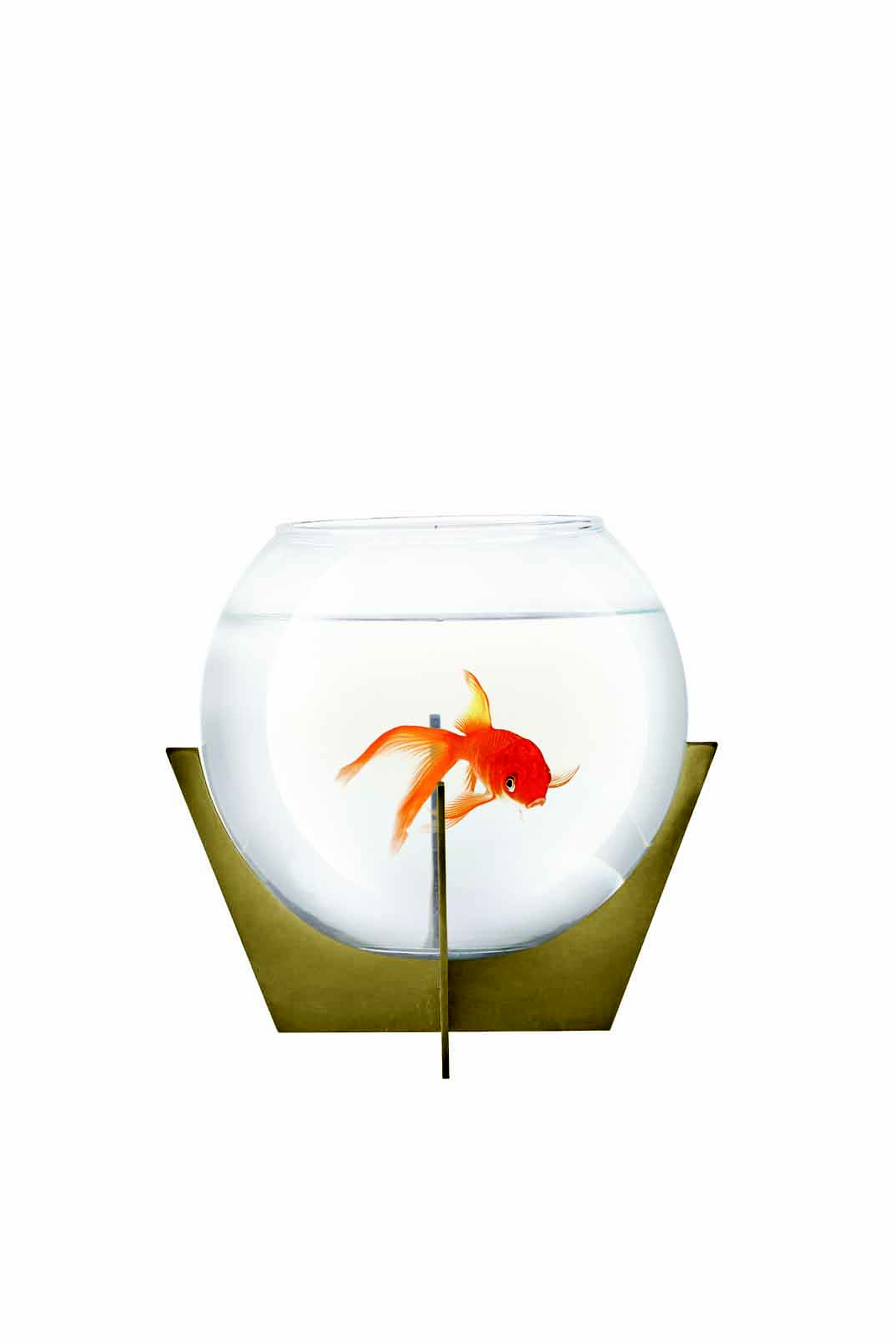 Habitat Fanus 18 Cm