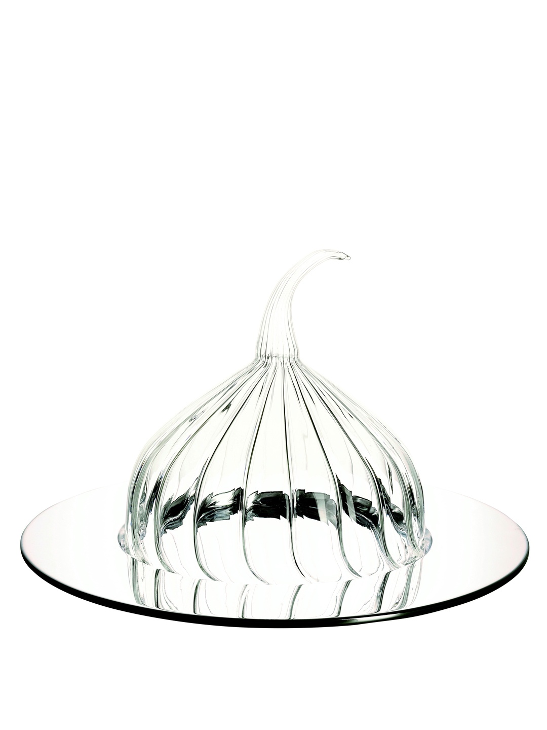 Mereng Fanus 32.5 cm