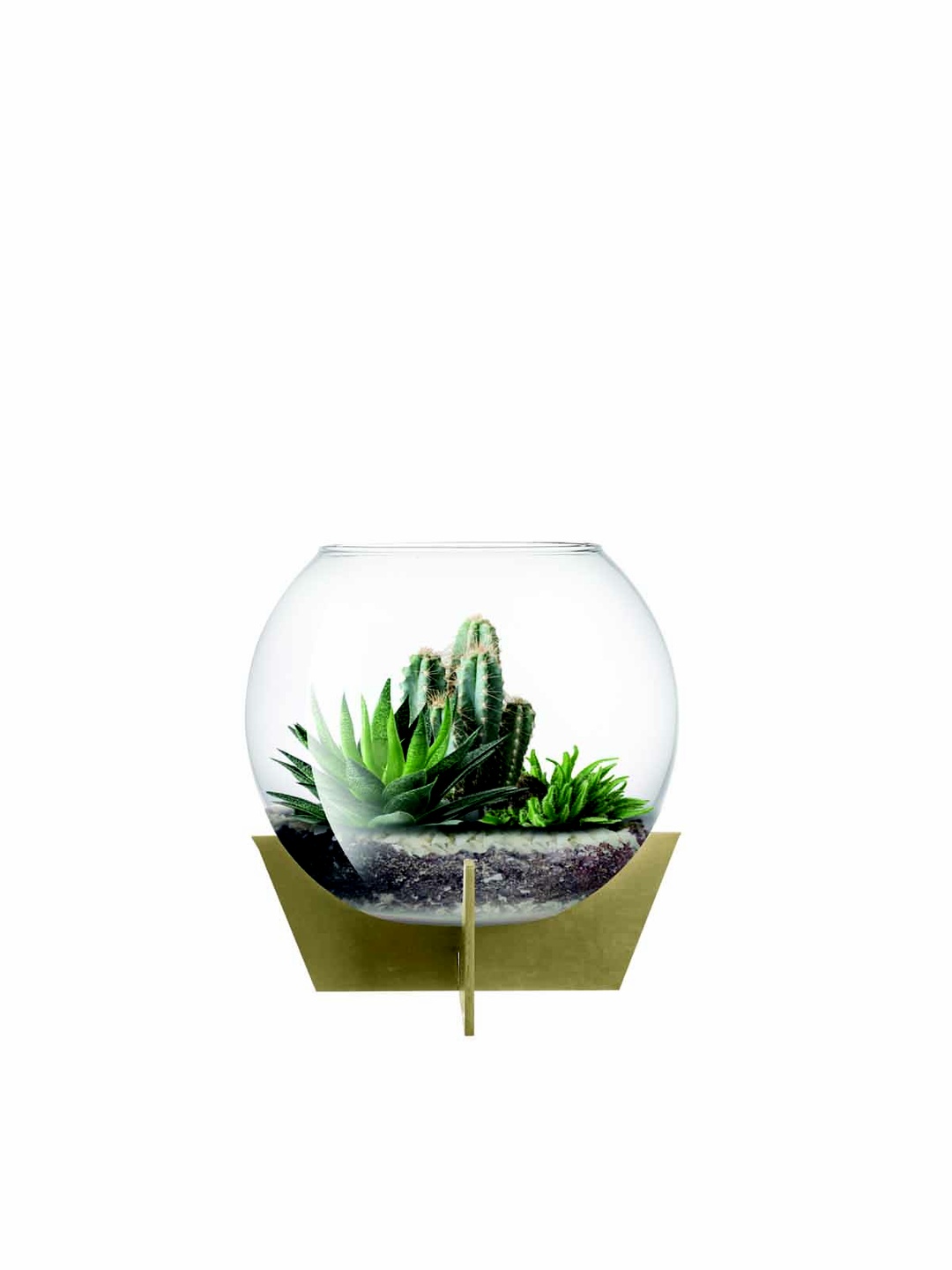 Habitat Fanus 12 cm