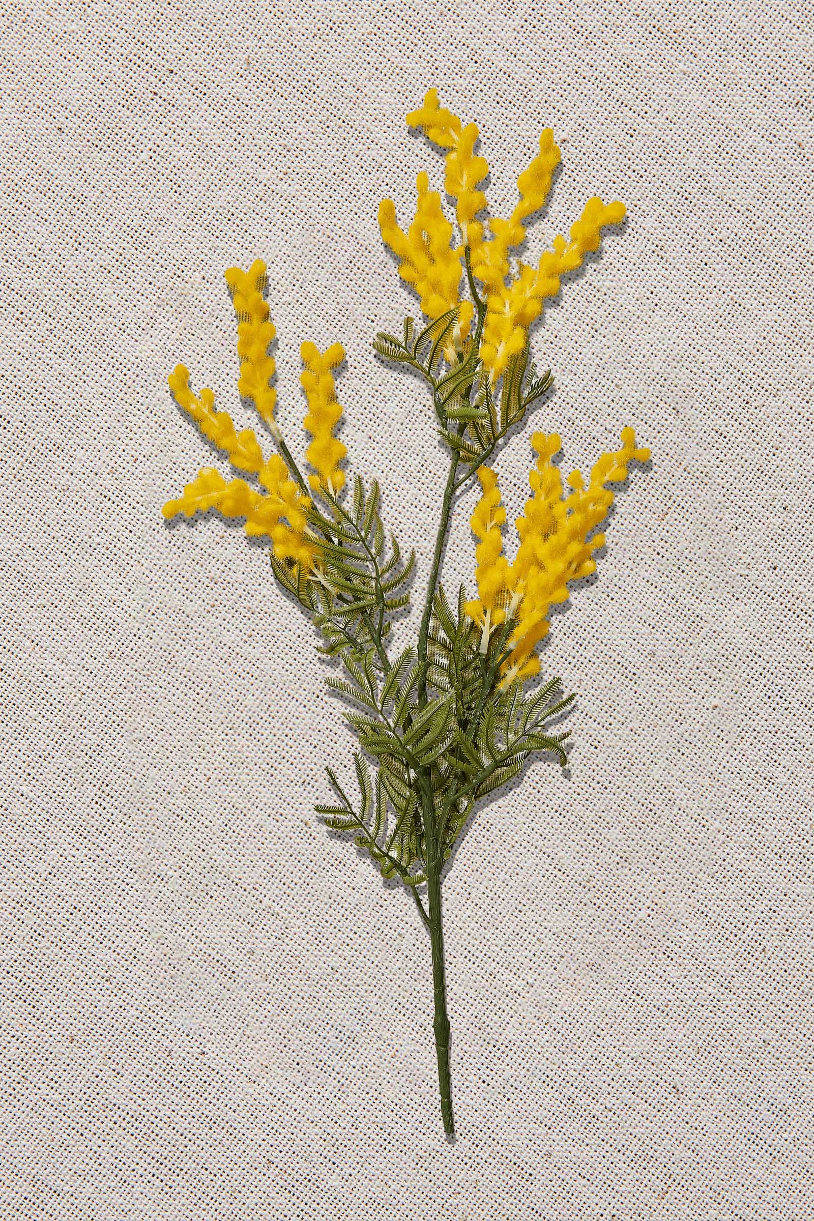 Yellow Mimosa 85 Cm Price - Paşabahçe