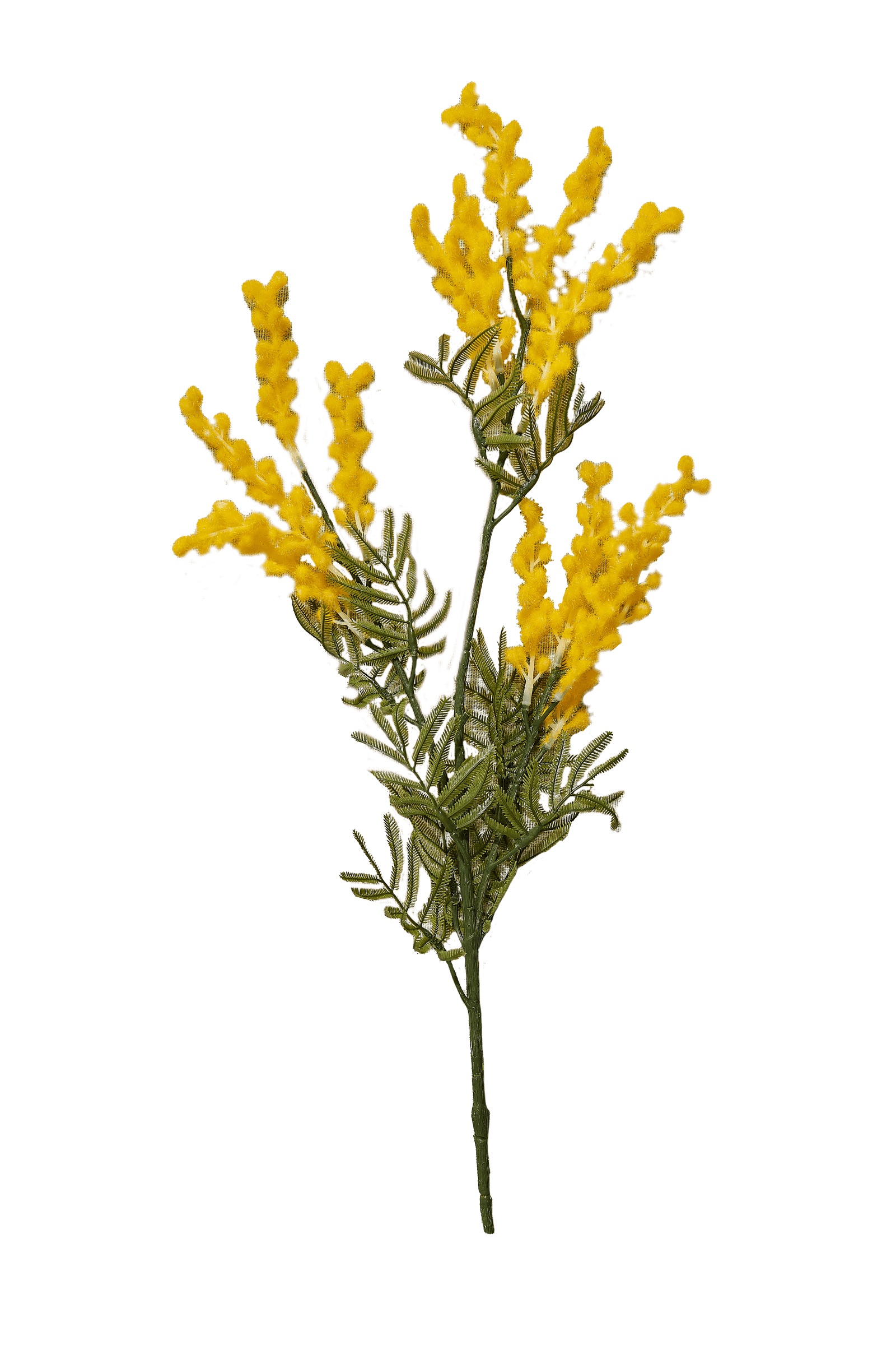 マグカップ Waltz Mimosa ワルツ ミモザ mimosa 置物 波佐見焼 新生活 日本製 置物