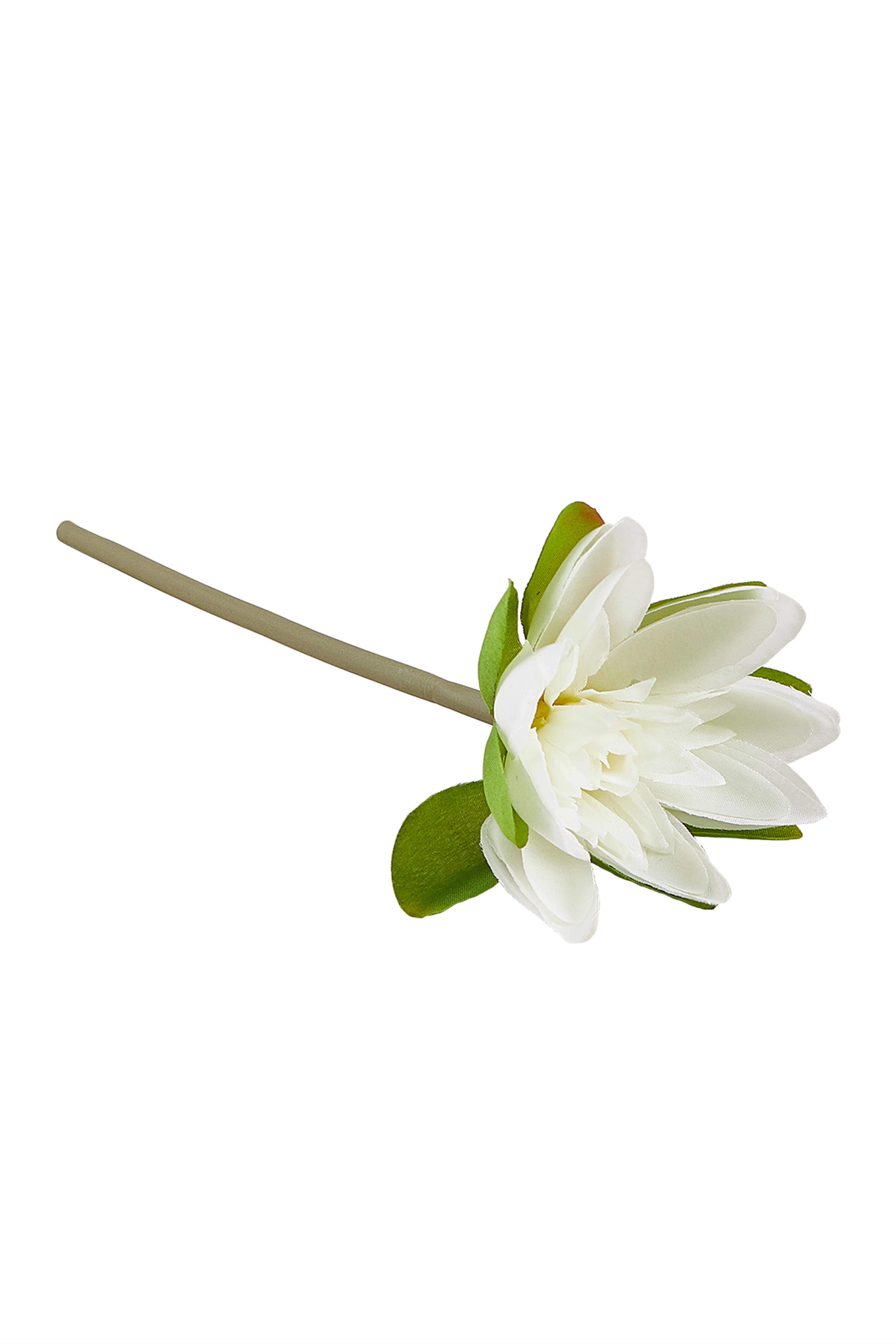 Beyaz Lotus 22 cm