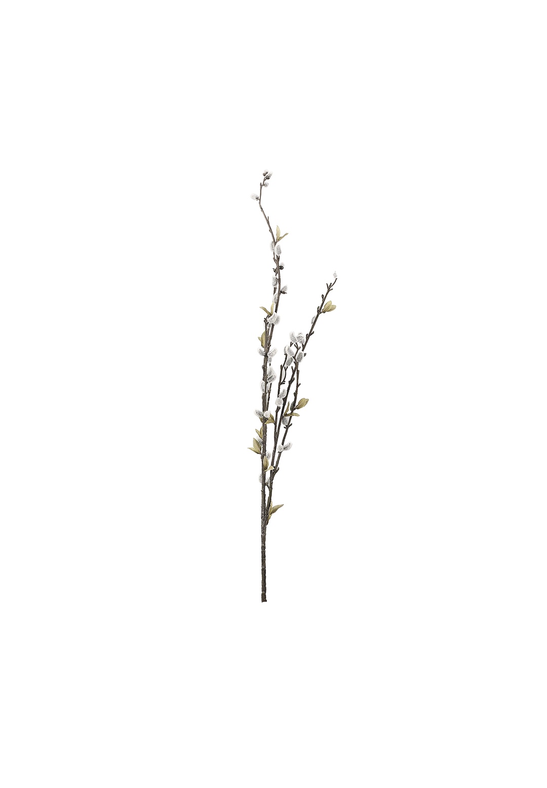 Yeşil Berry 74 cm