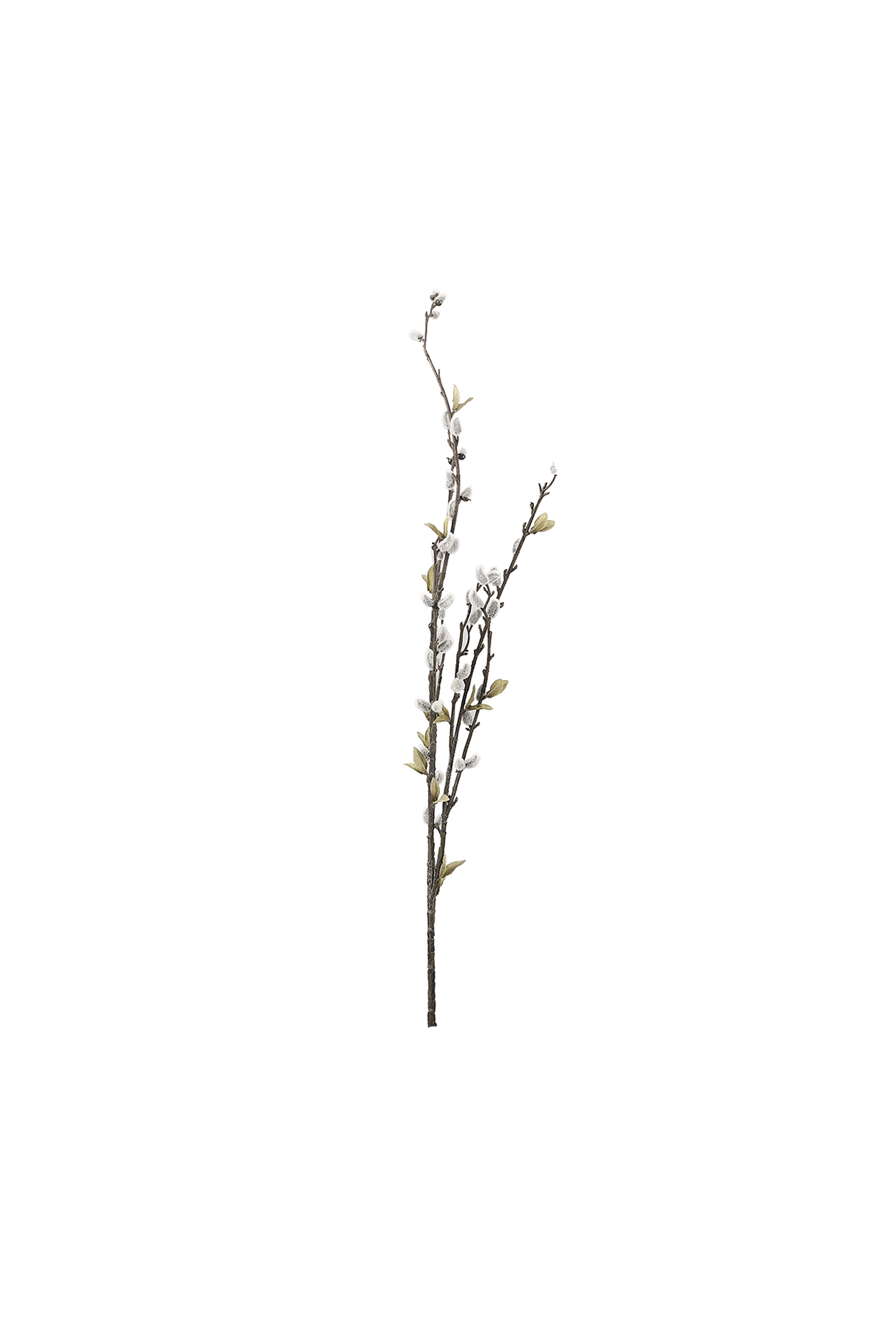 Yeşil Berry 74 cm