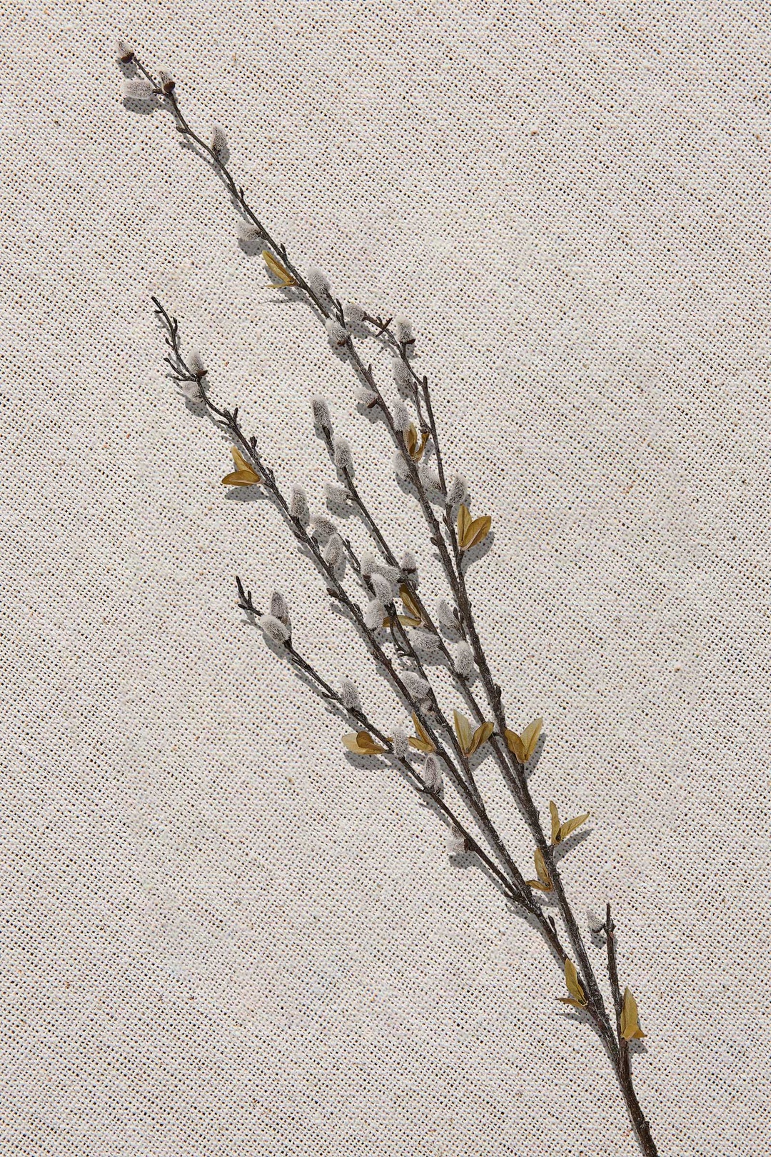 Yeşil Grass 92 cm