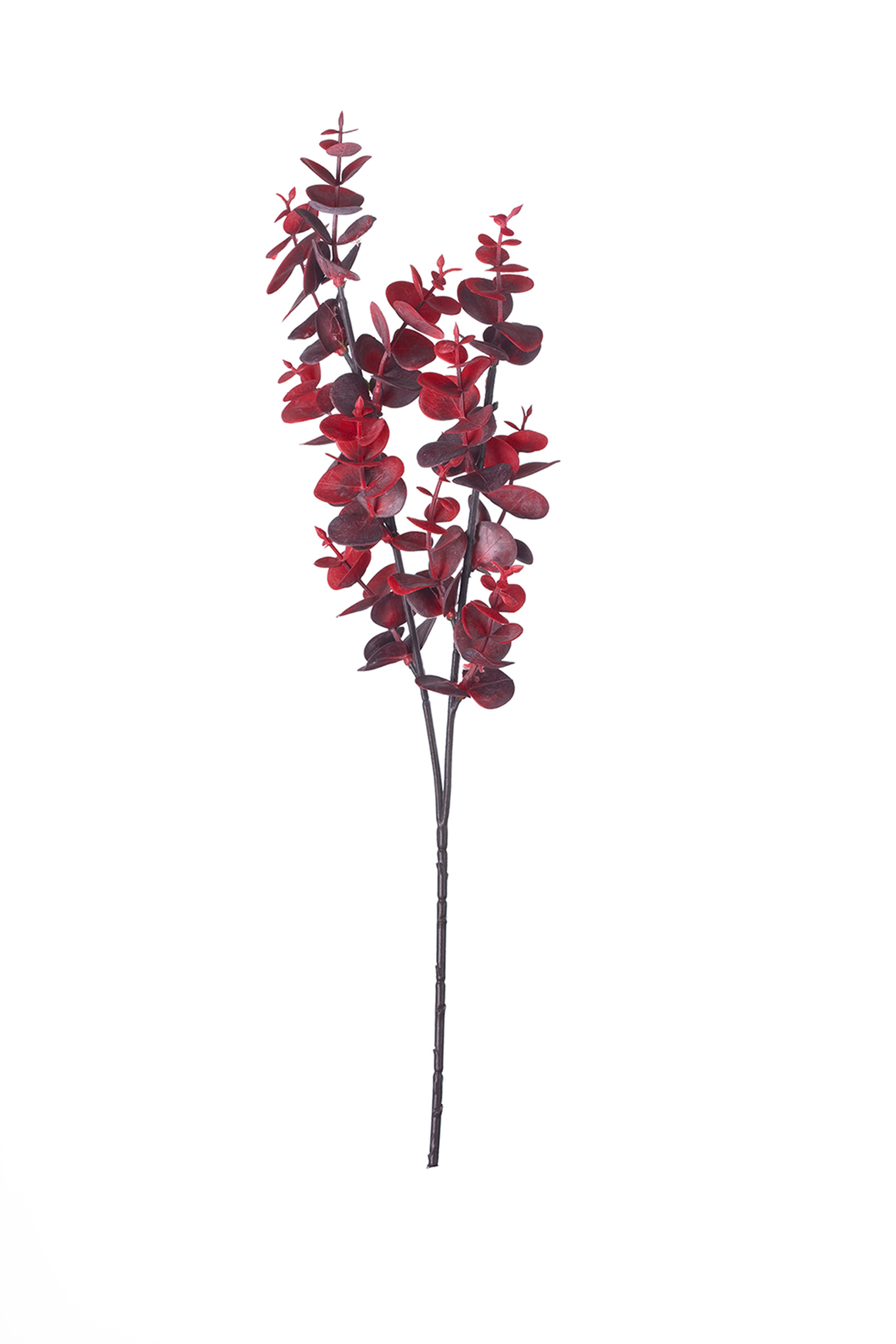 Damson Leaves 40 Cm