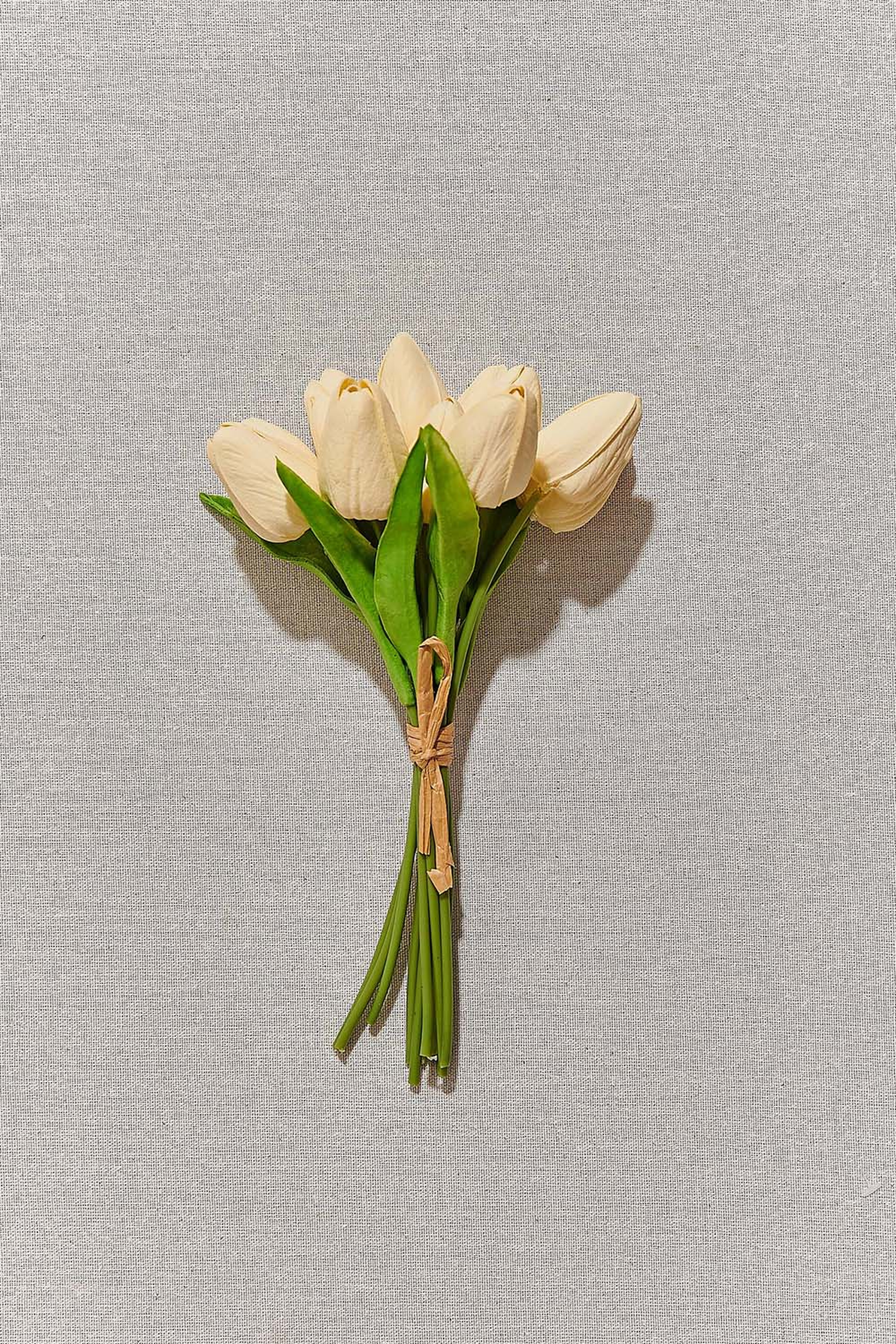 Bone Tulip Bunch 25 Cm