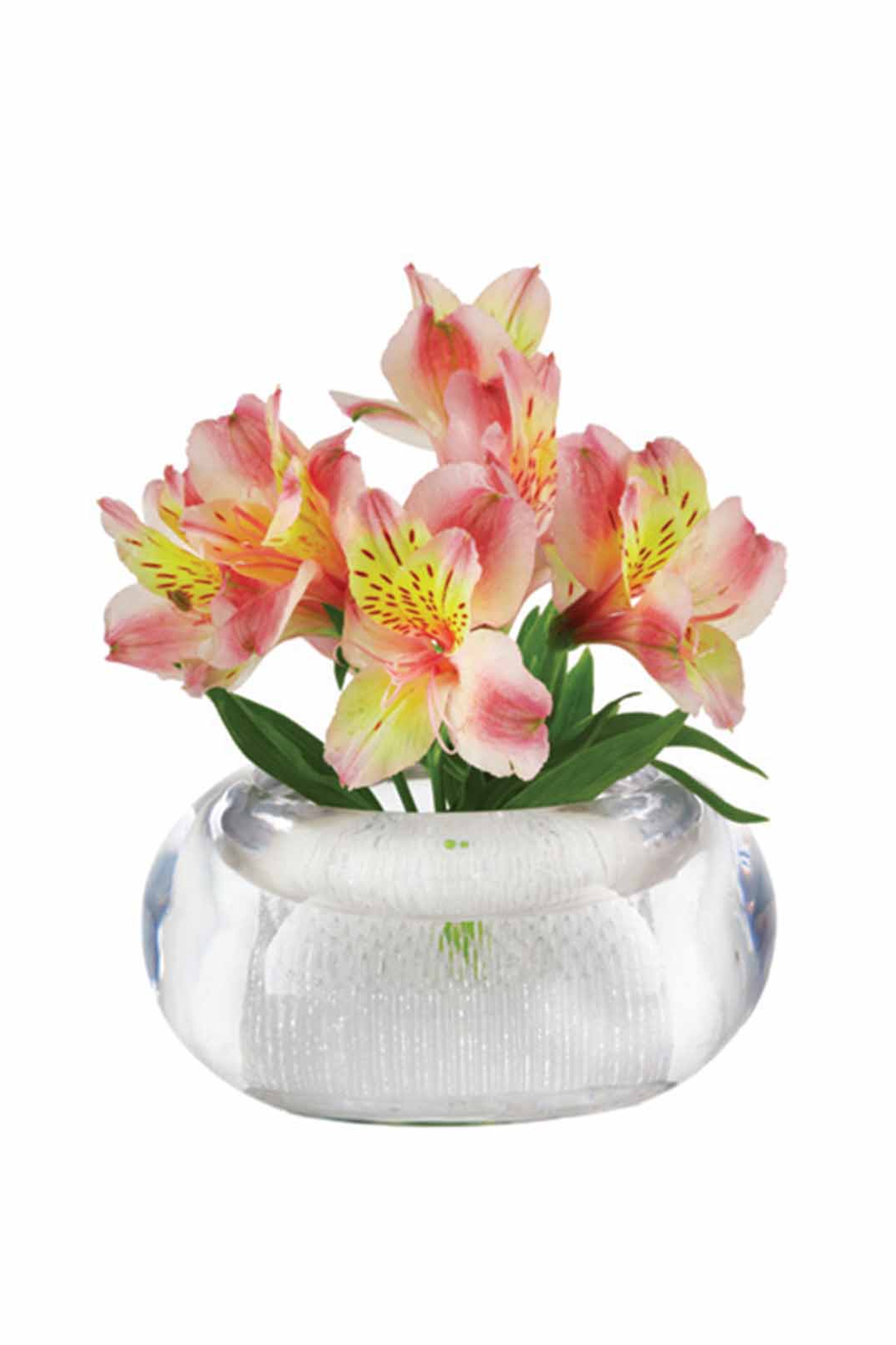 Ikebana Vase