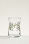 Transparent