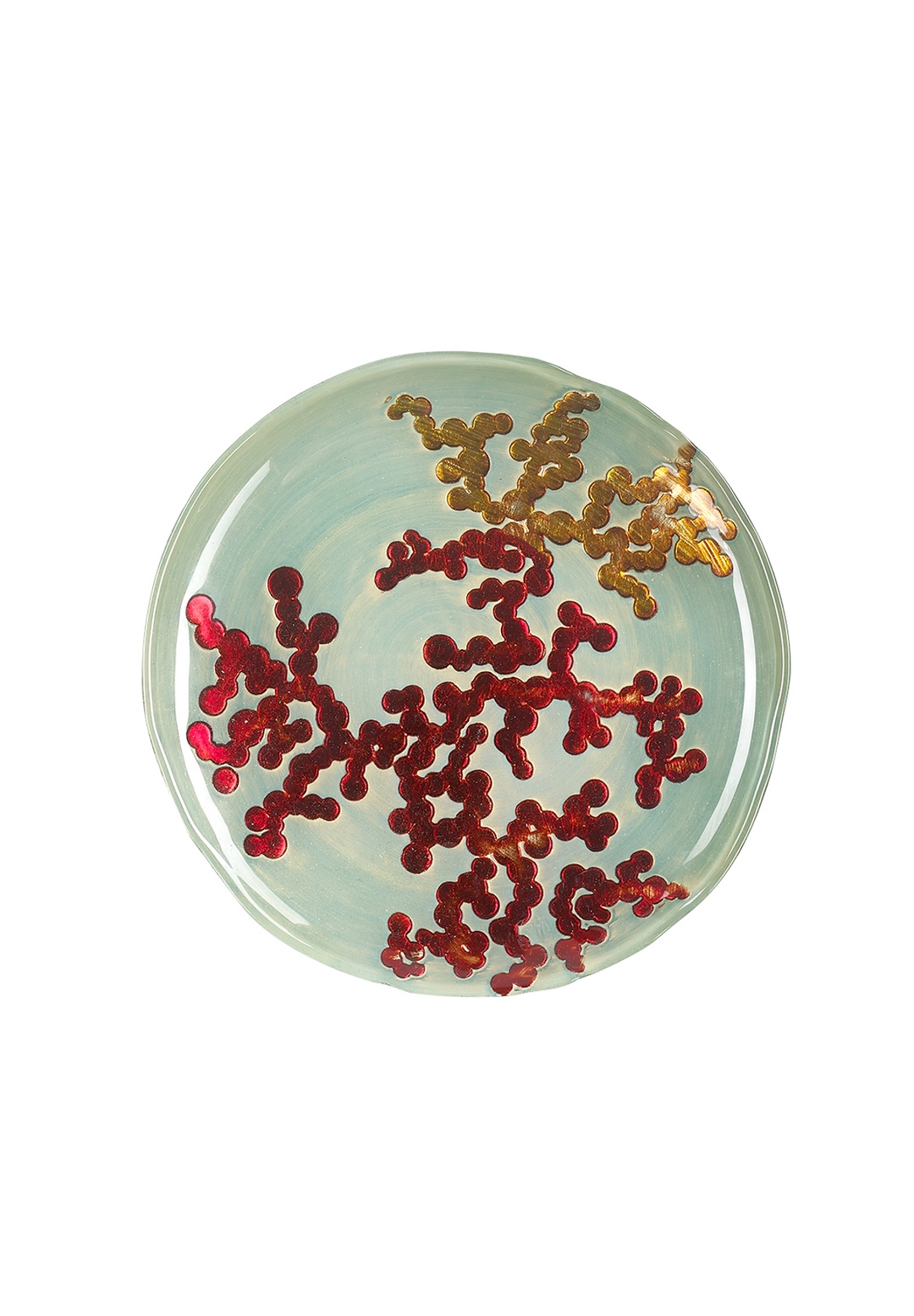 Mercan Tabak 22,5 cm