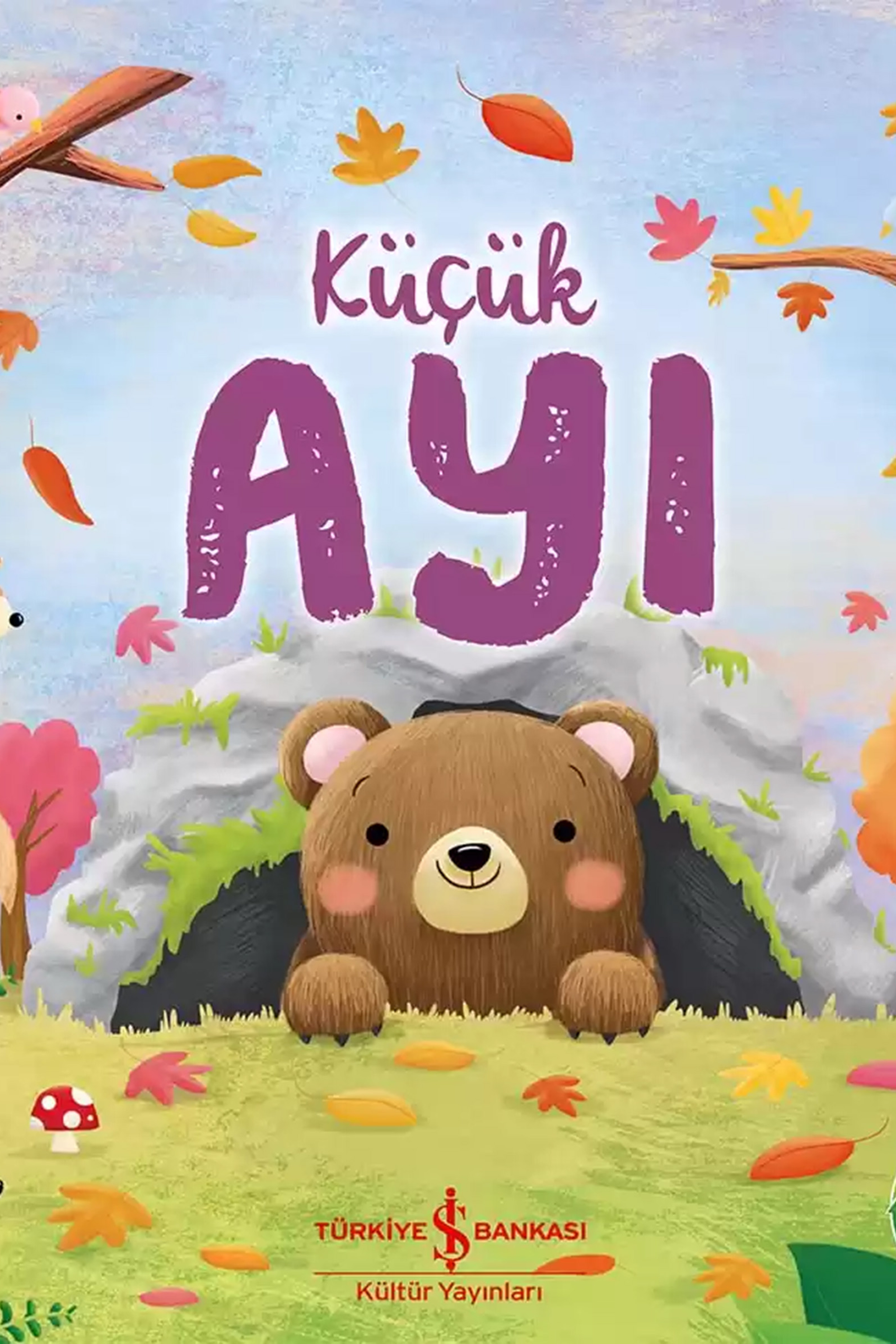 Küçük Ayı Çocuk Kitabı
