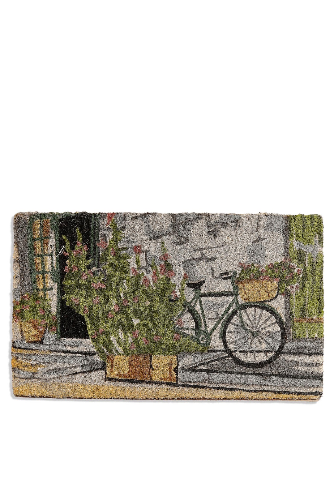 Bicycle Paspas