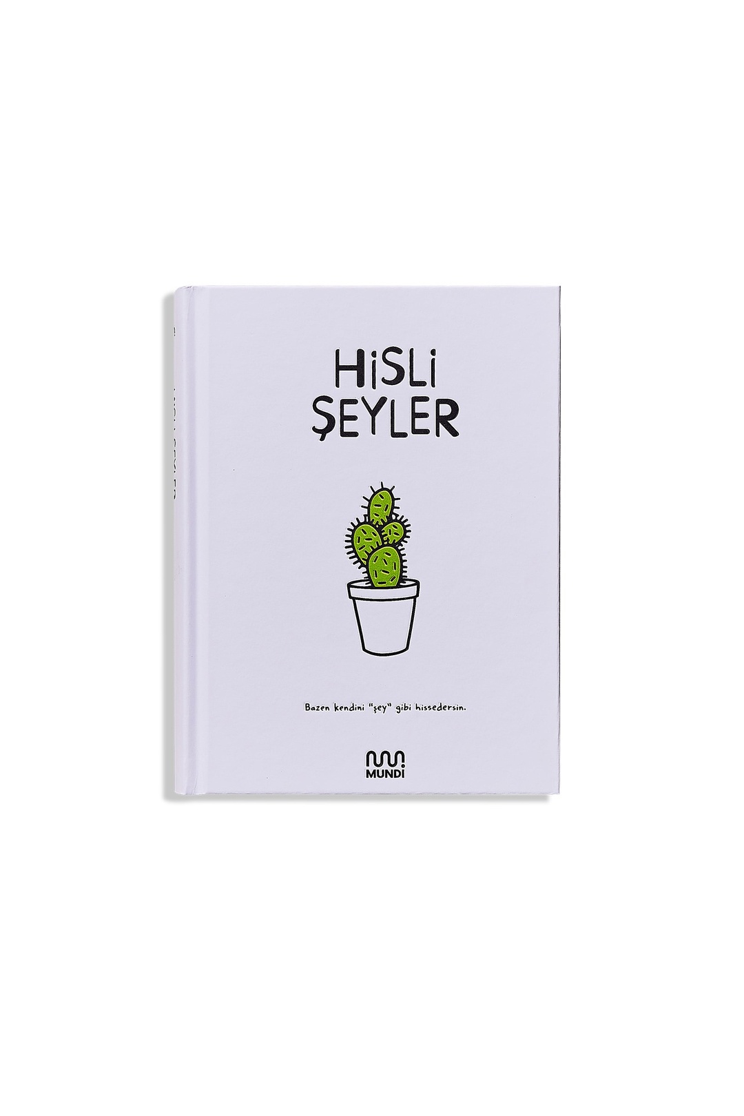 Hisli Şeyler