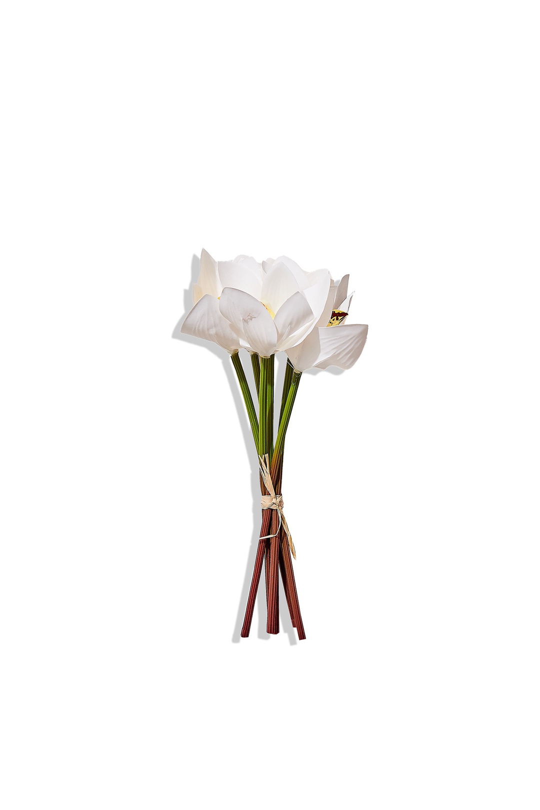 Orkide Demeti 25 Cm