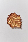 Sarı