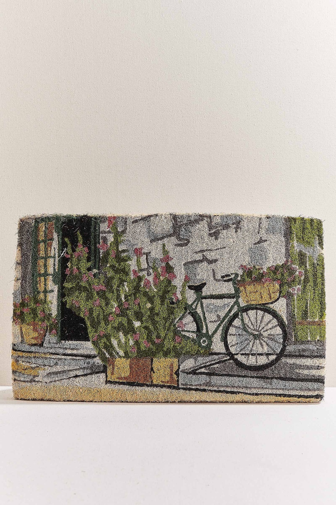 Bicycle Paspas