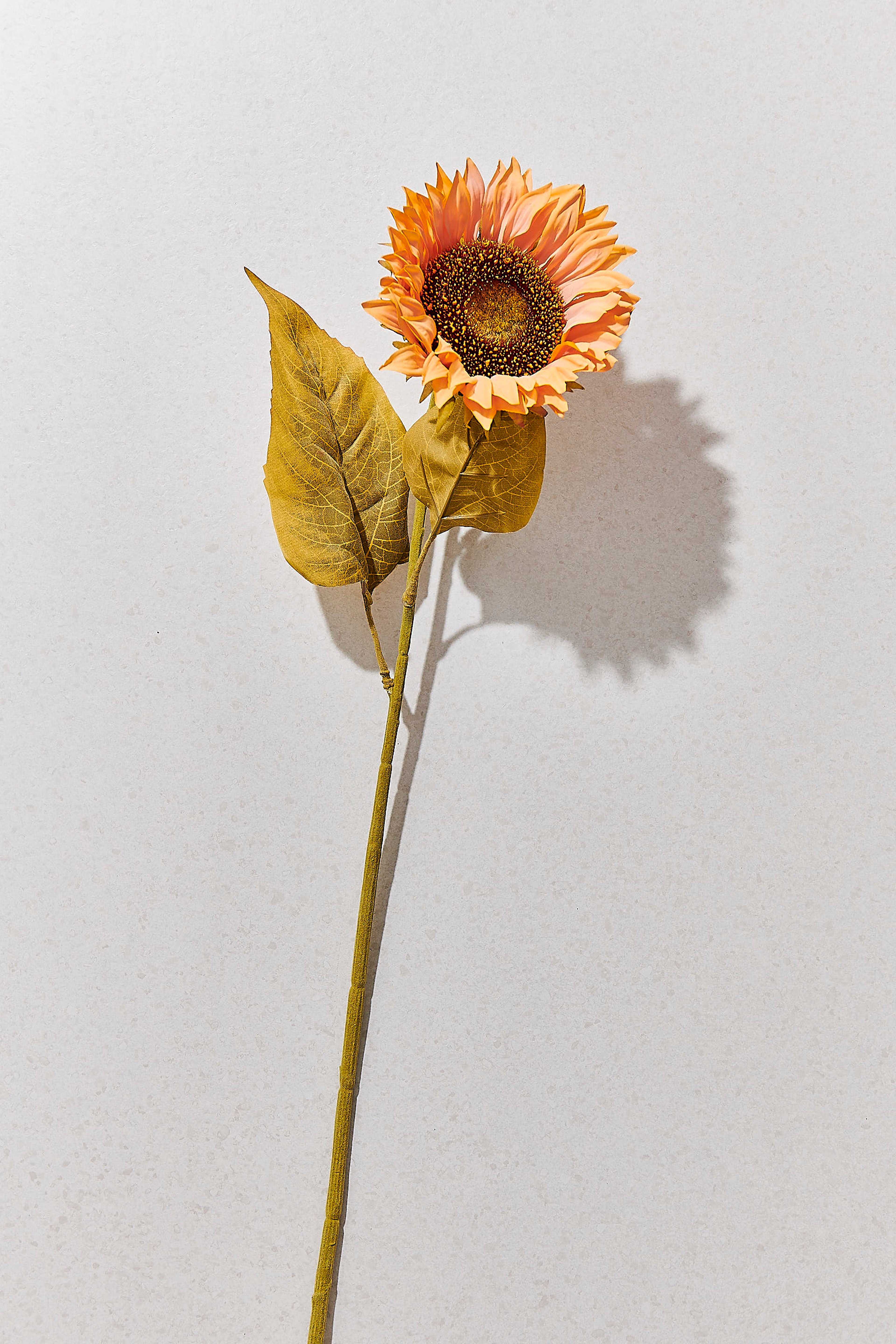 Ayçiçeği 75 cm Sarı