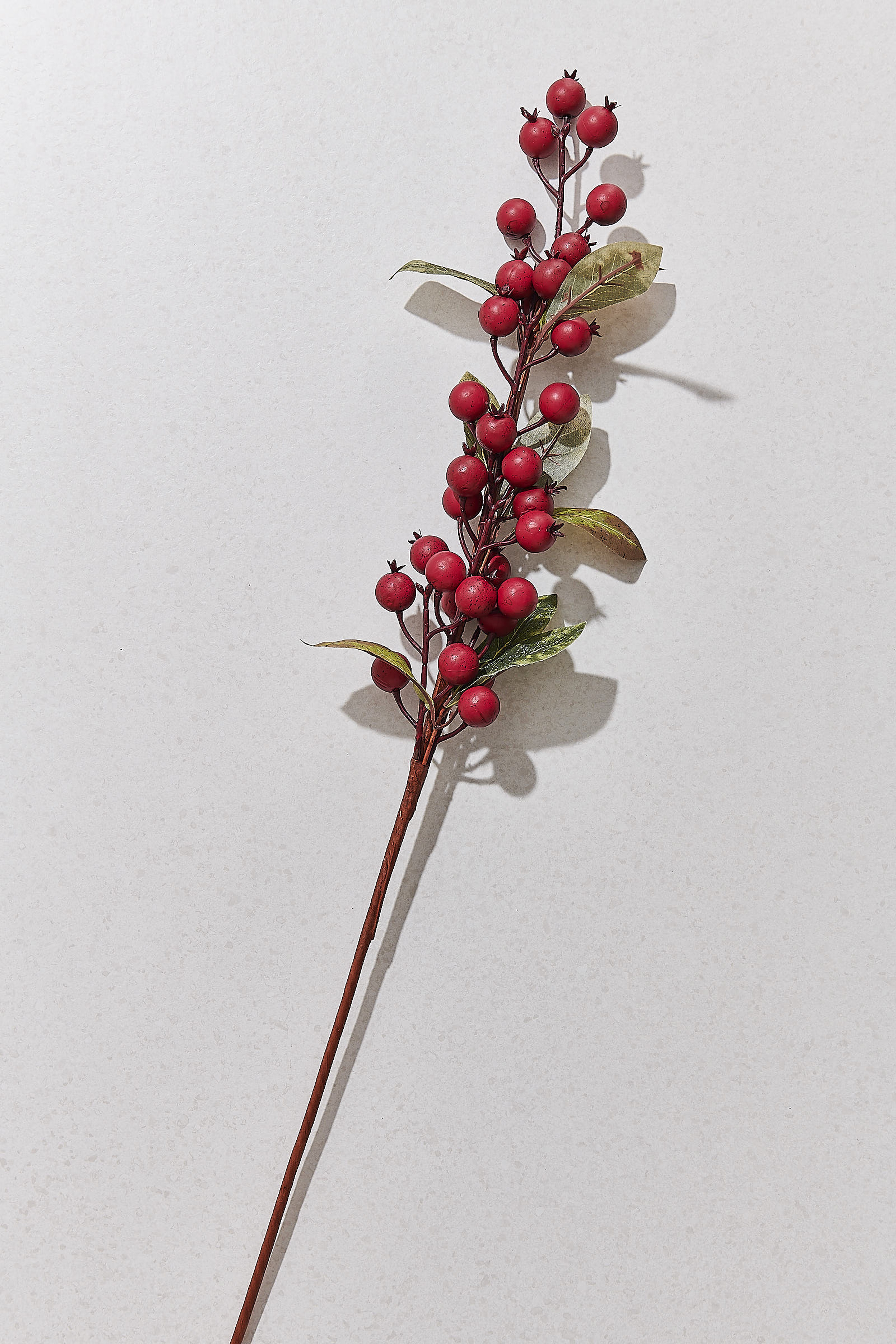 Red Fruit 83 Cm
