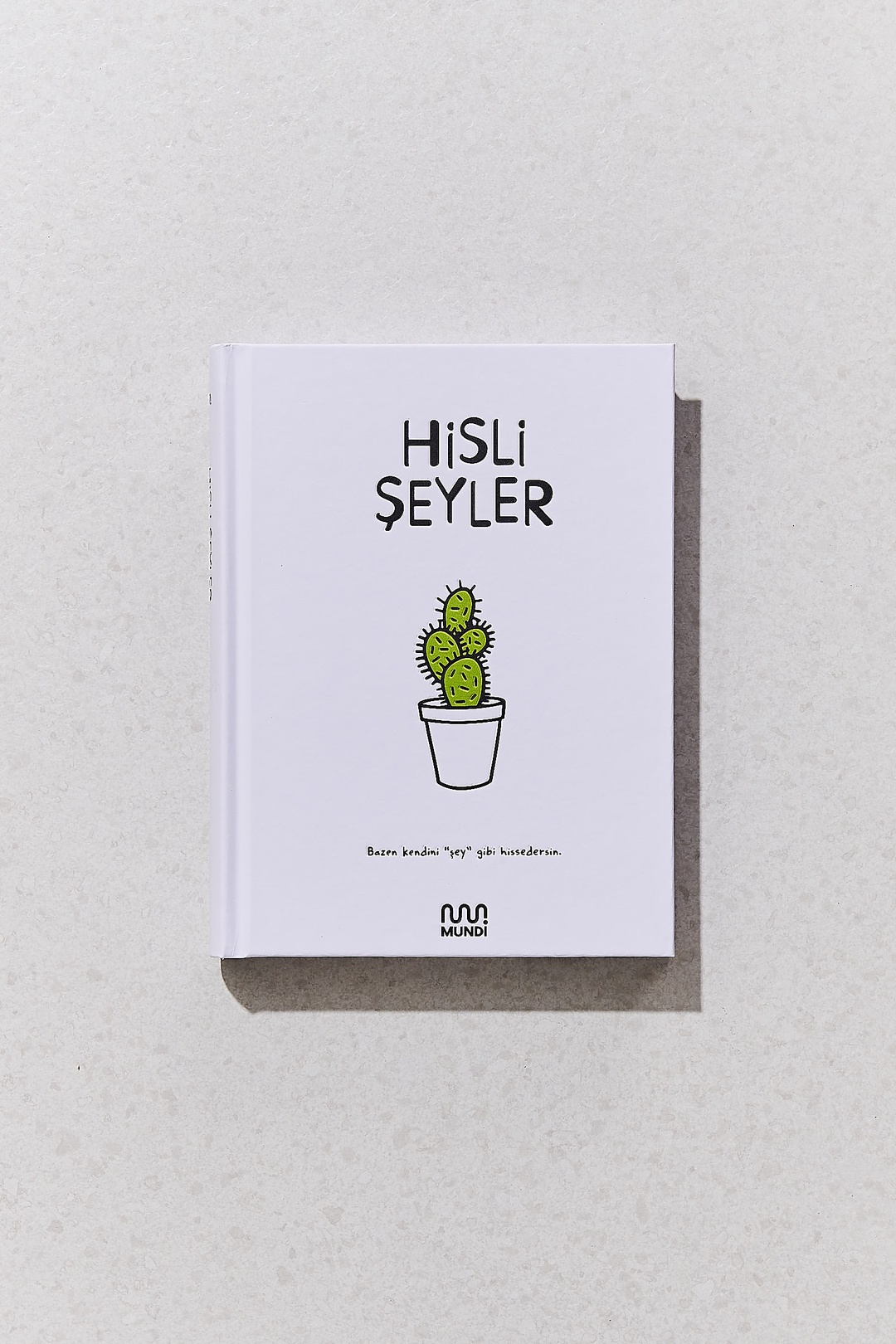Hisli Şeyler