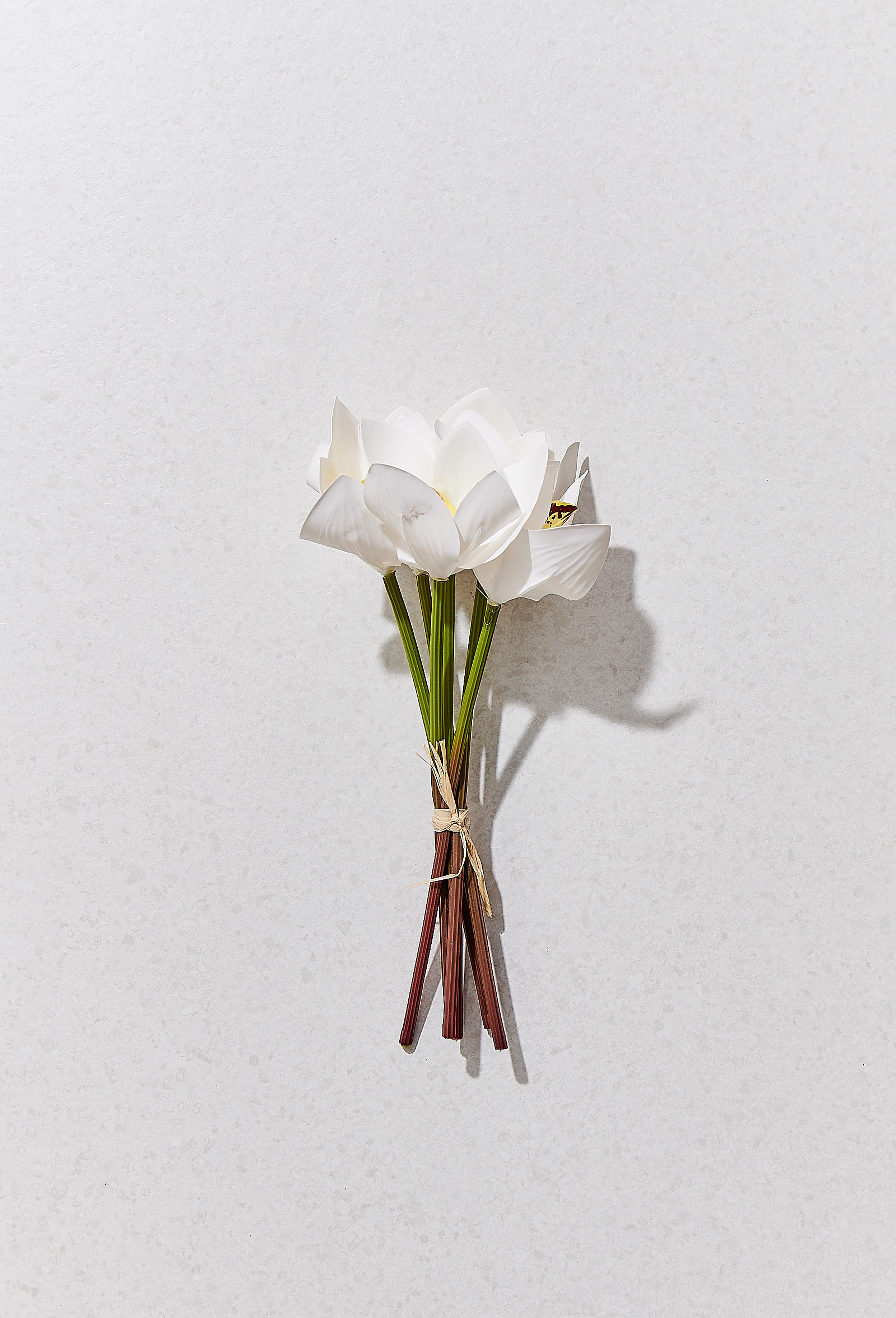 Orkide Demeti 25 Cm
