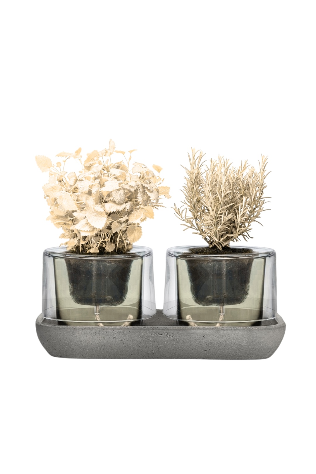 Nude Roots Orkide Saksısı Füme Yeşili