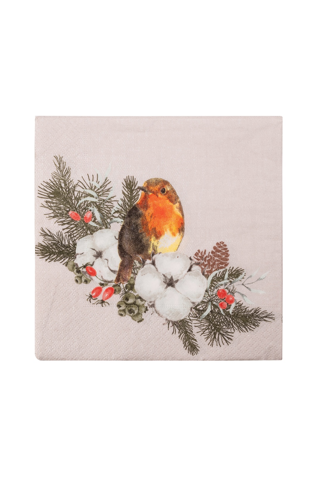 Winter Bird 20'li Peçete 3333