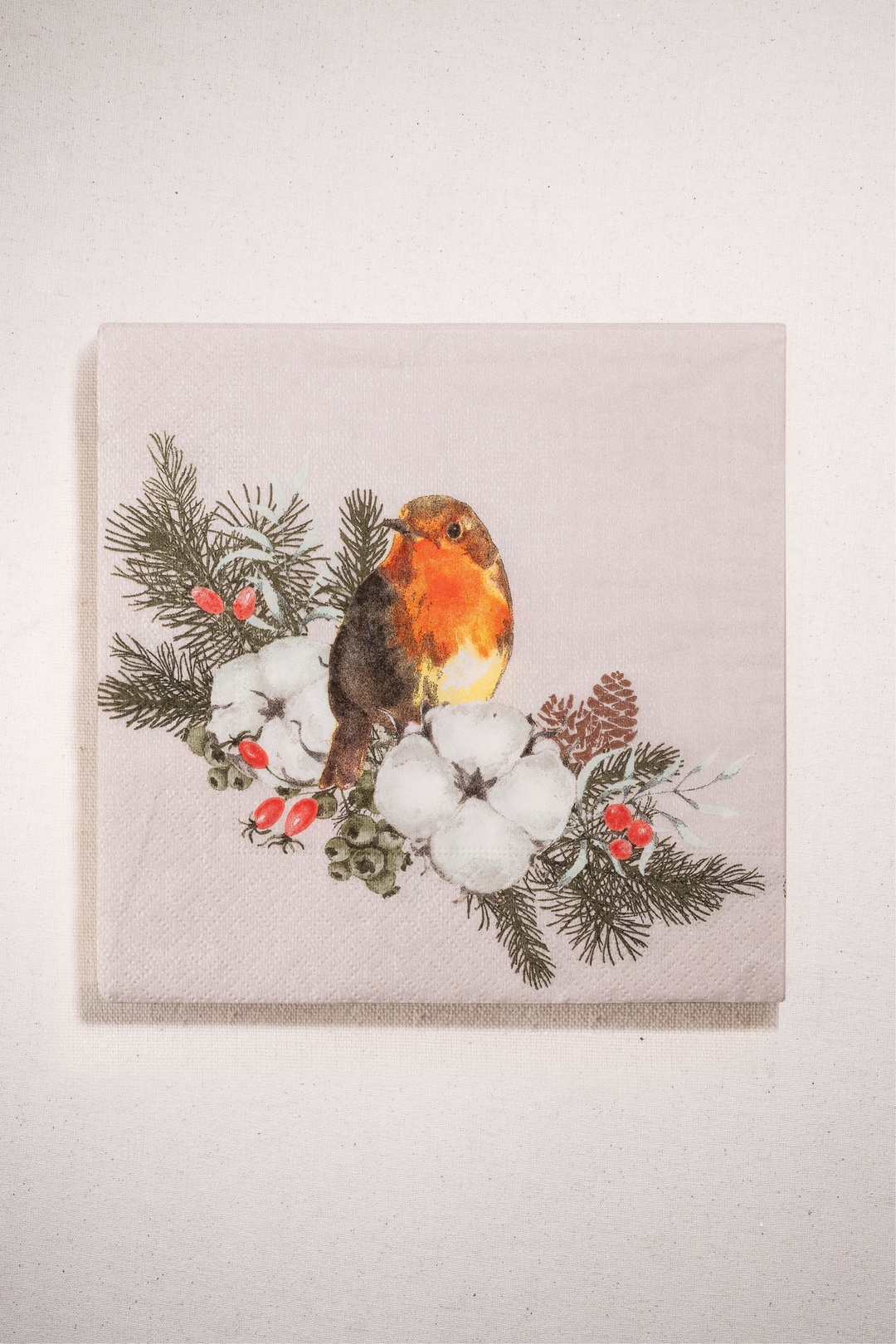 Winter Bird 20'li Peçete 3333