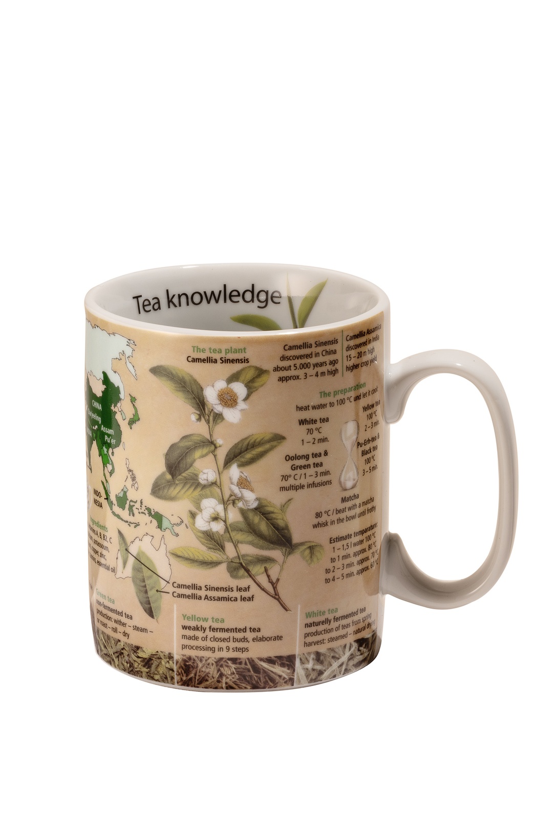 Tea Knowledge Porselen Kupa