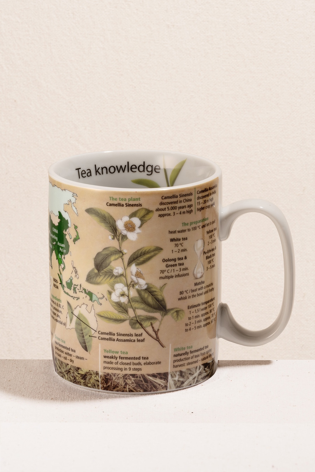 Tea Knowledge Porselen Kupa