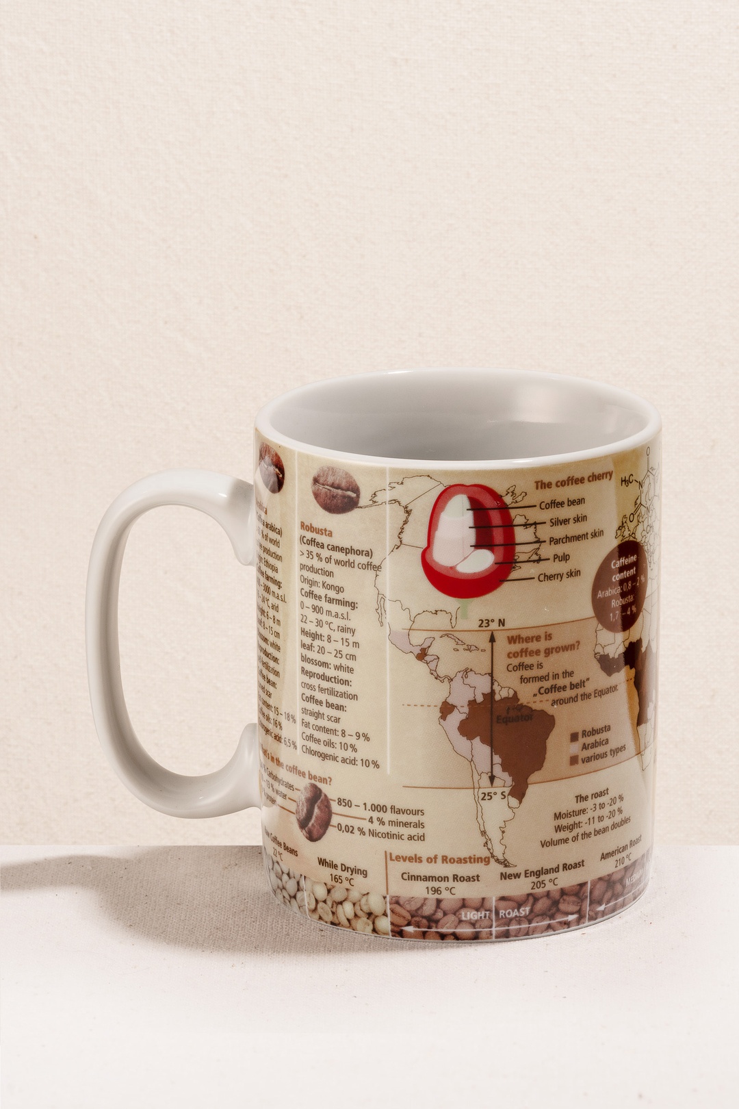 Coffee Knowledge Porselen Kupa