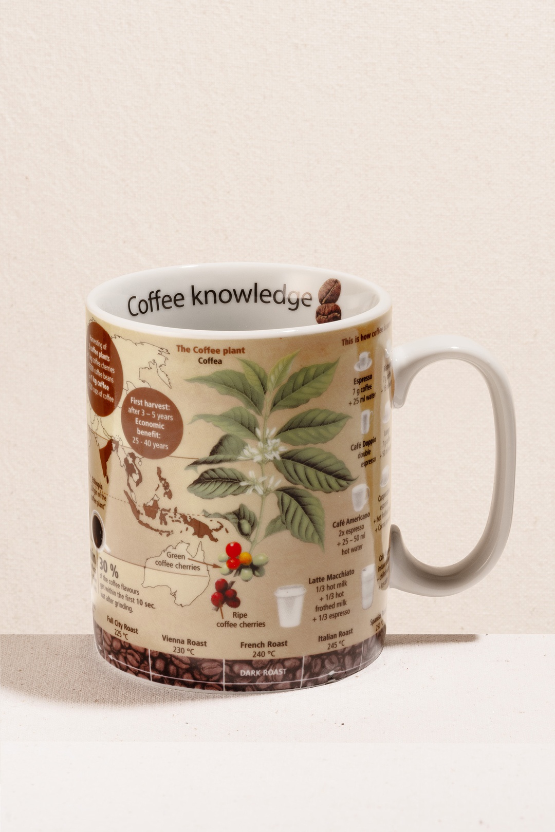 Coffee Knowledge Porselen Kupa