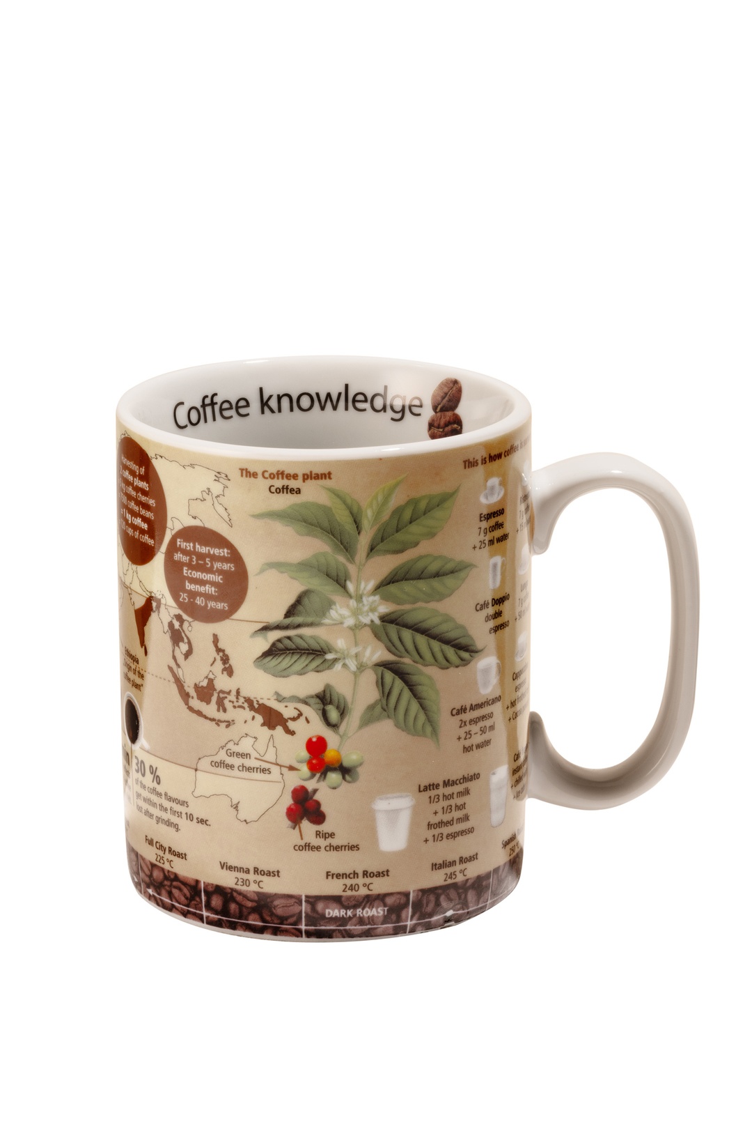 Coffee Knowledge Porselen Kupa