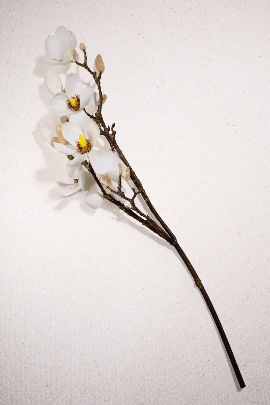 Manolya 61 Cm Krem