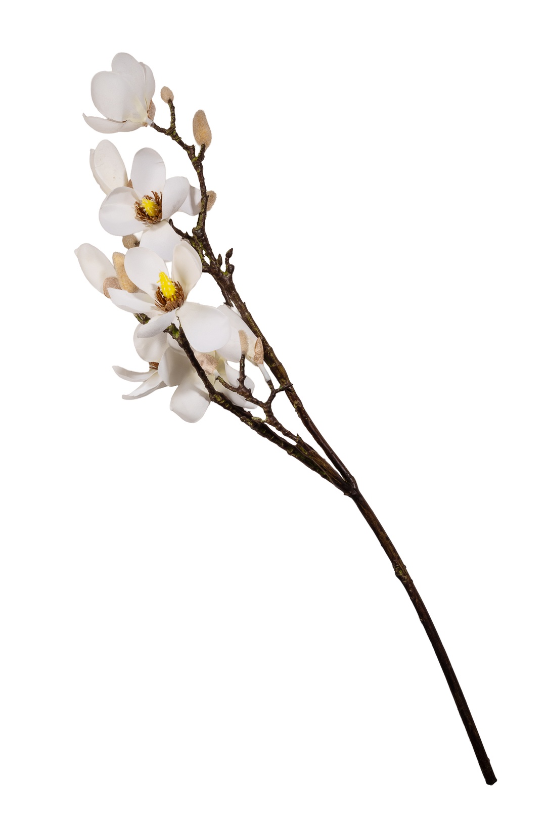 Manolya 61 Cm Krem