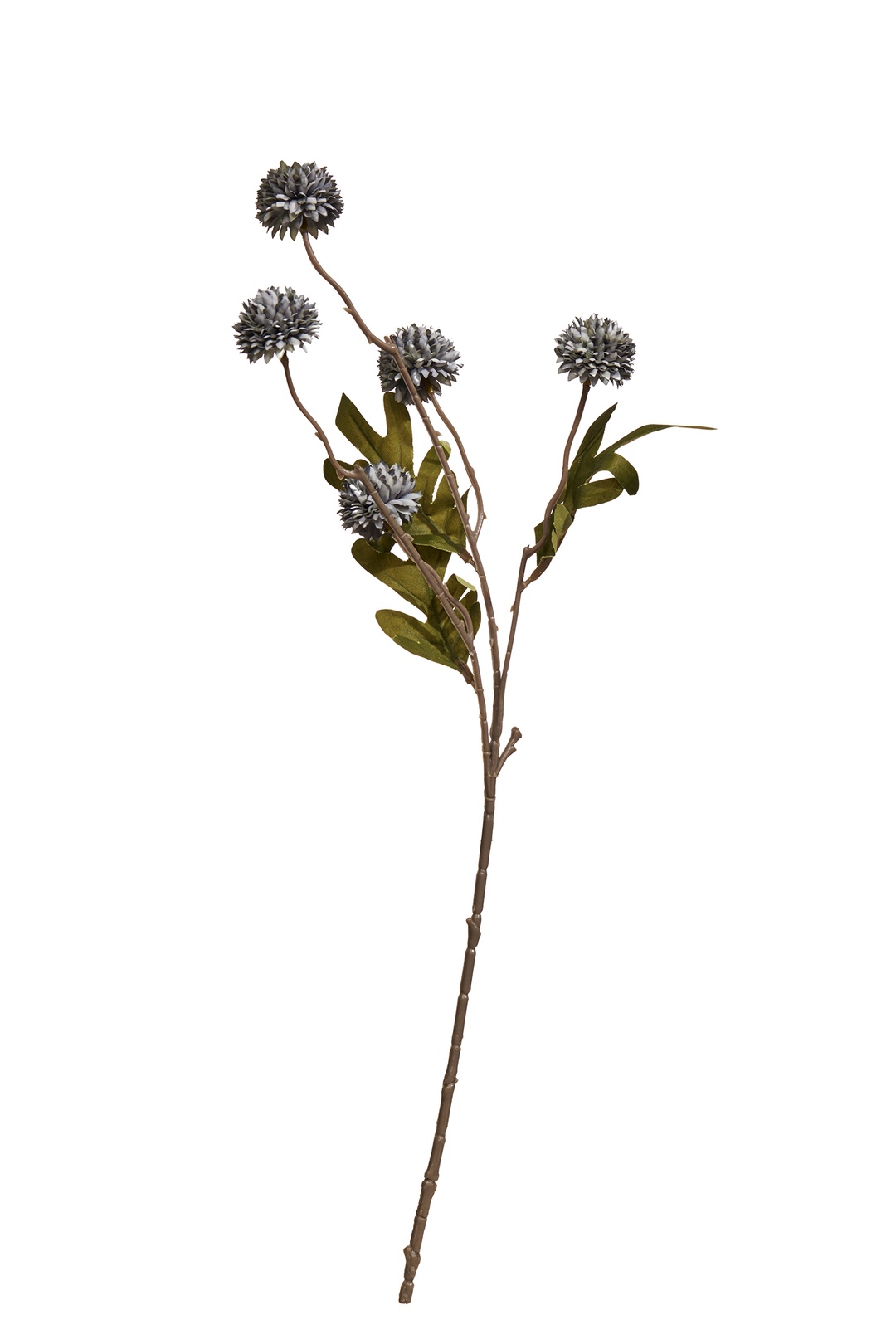 Karahindiba 51 cm Mavi