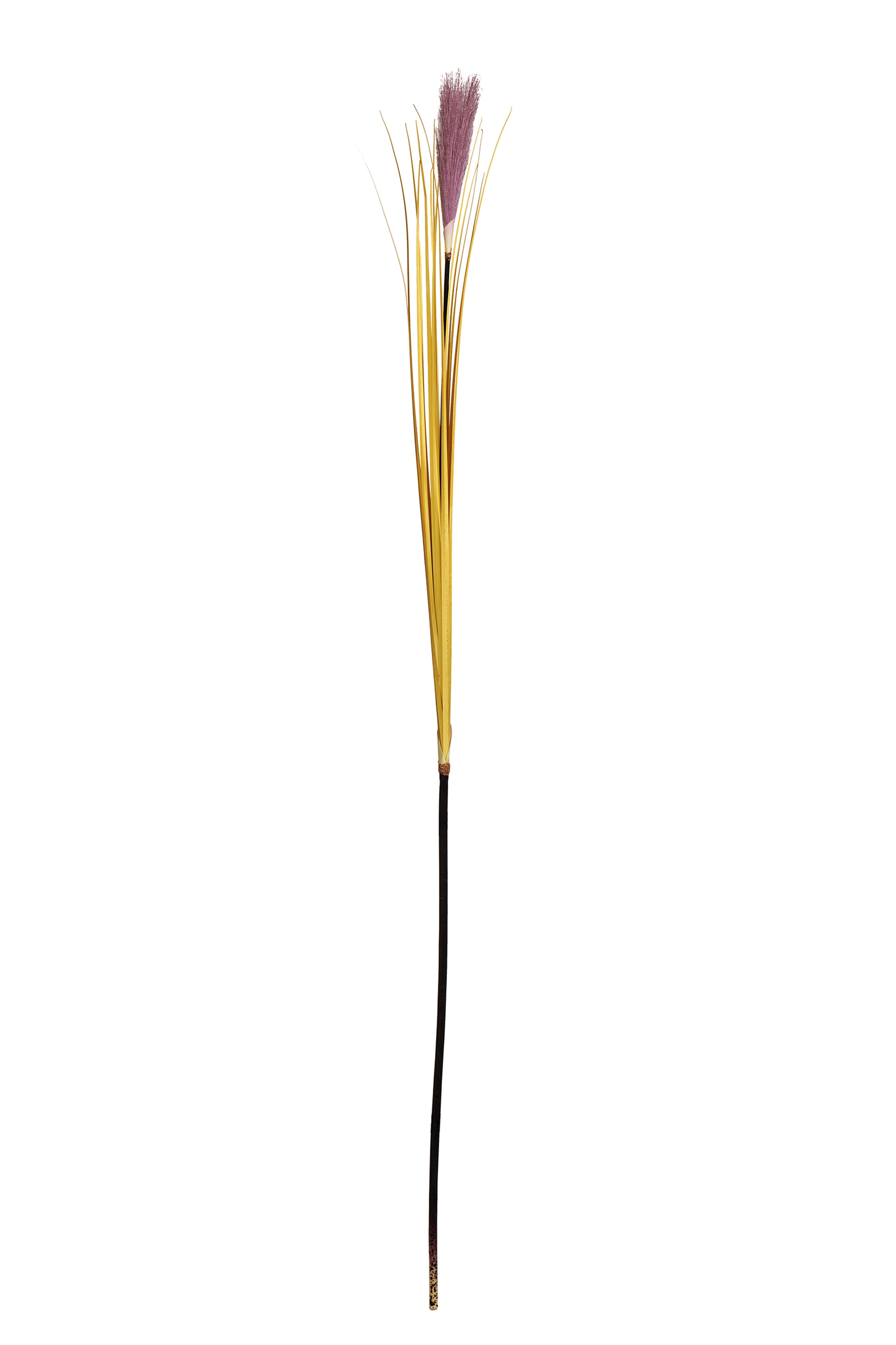 Bulrush 119 cm Mor