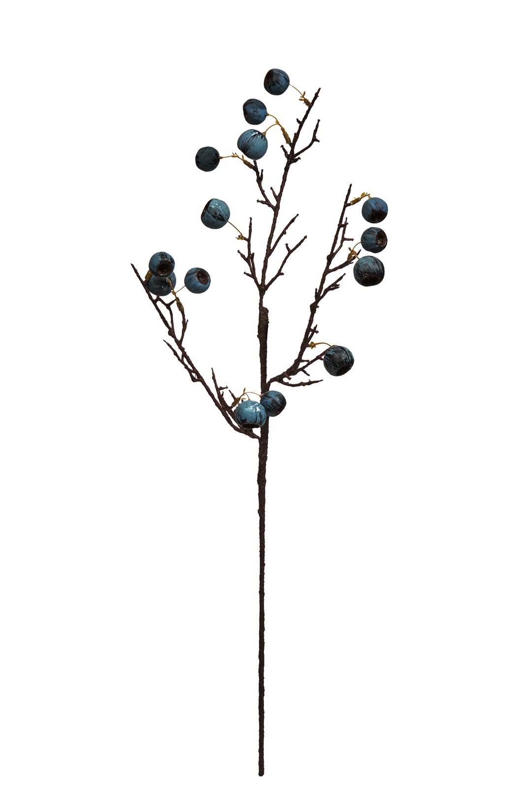 Fruit 68 cm Mavi